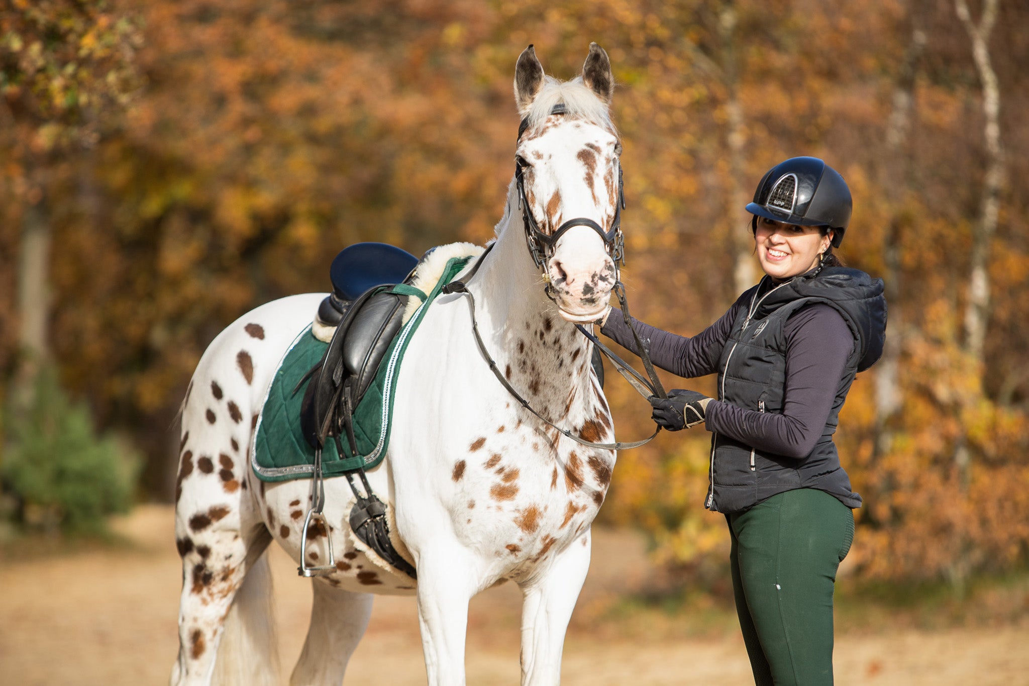 Equestroom Pine Grove Saddle Pad - Equestroom - Equiluxe Tack