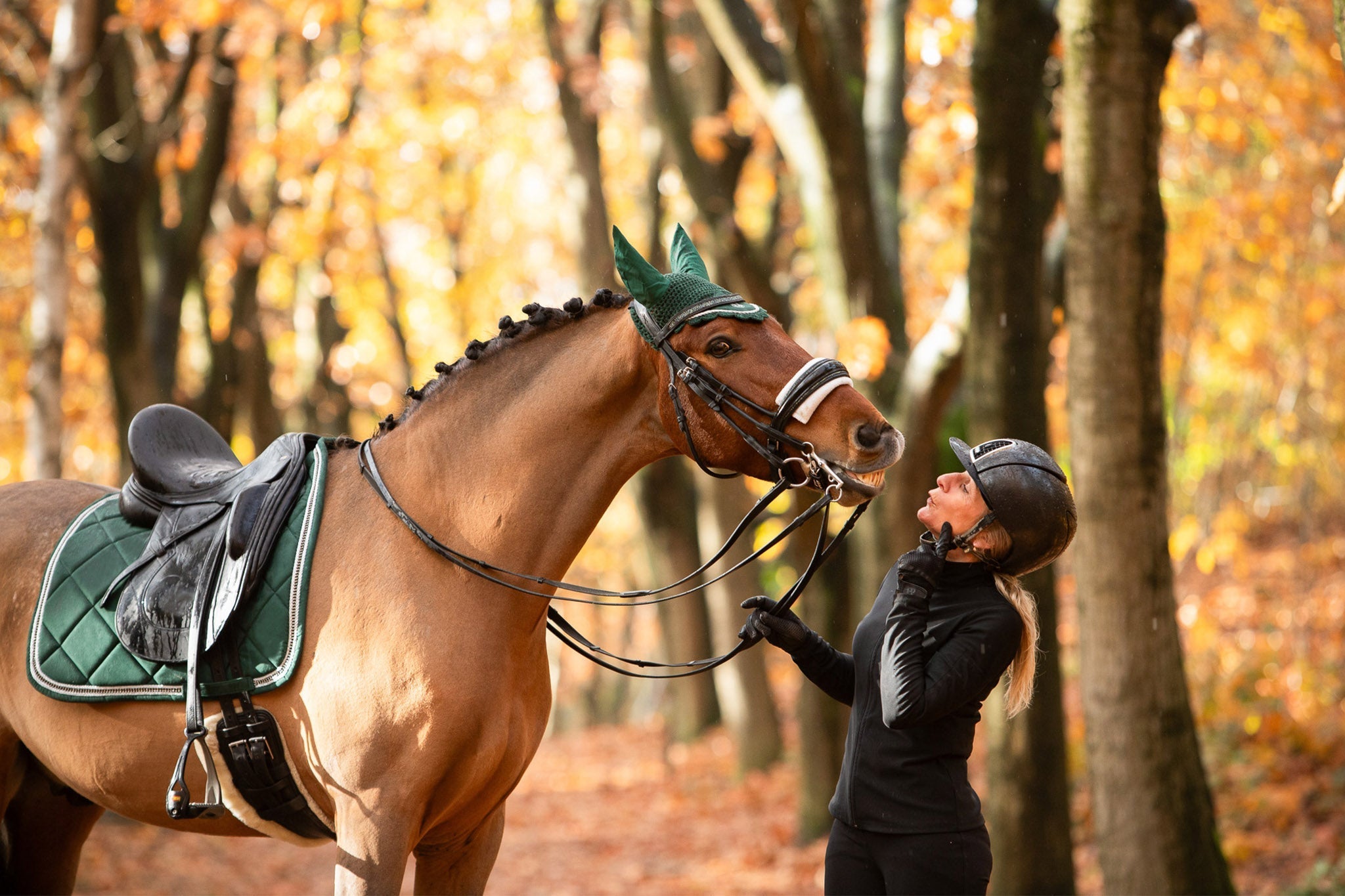 Equestroom Pine Grove Saddle Pad - Equestroom - Equiluxe Tack