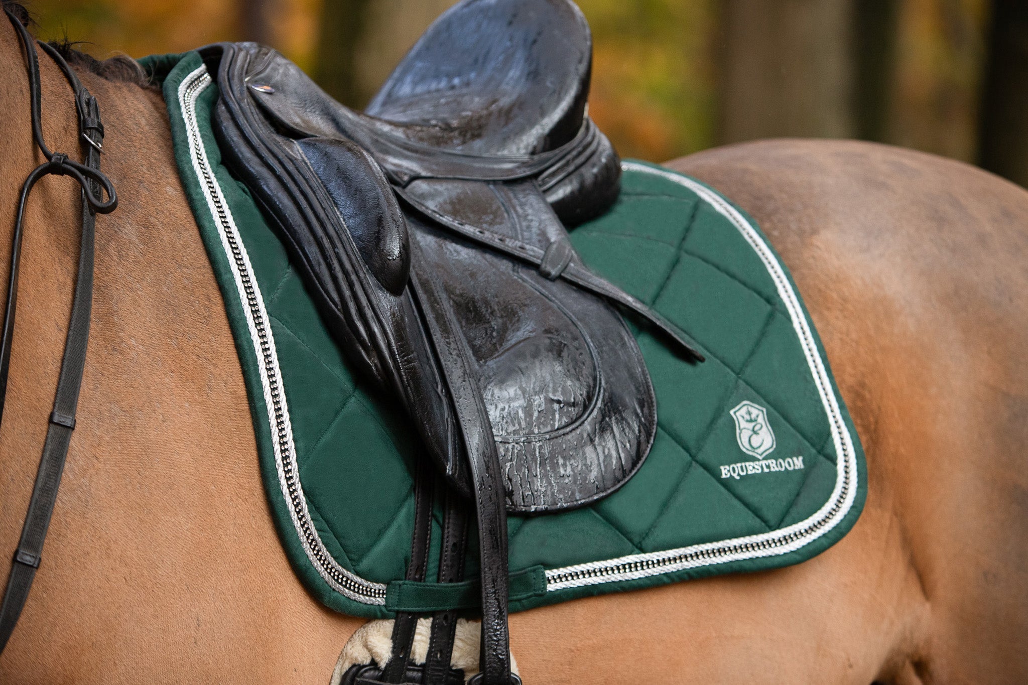 Equestroom Pine Grove Saddle Pad - Equestroom - Equiluxe Tack