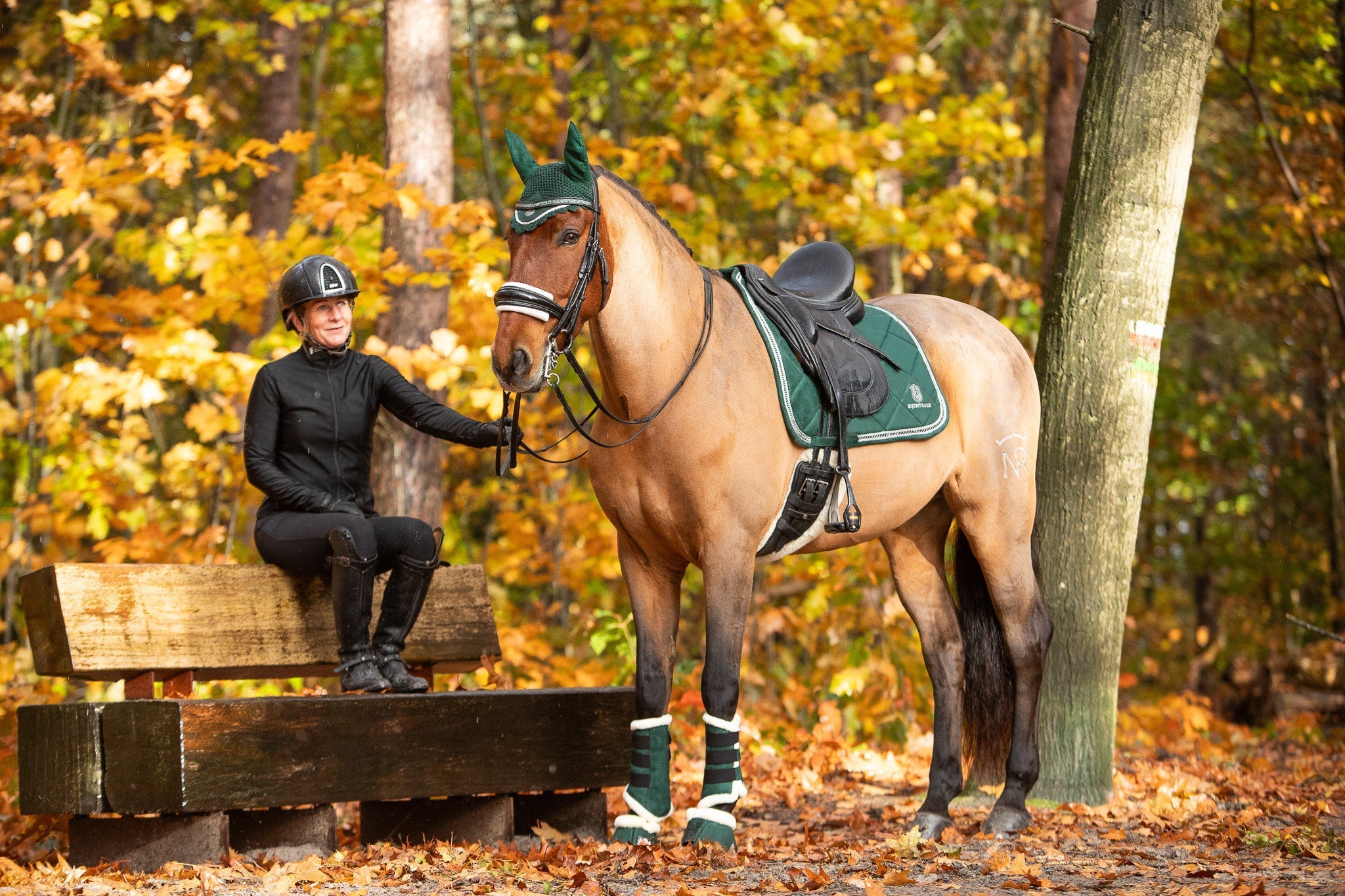 Equestroom Pine Grove Saddle Pad Set - Equestroom - Equiluxe Tack