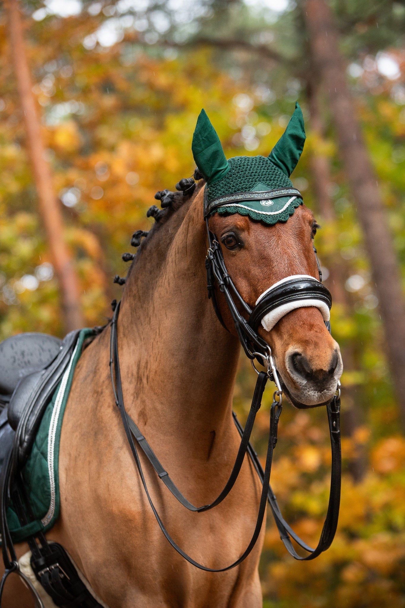 Equestroom Pine Grove Saddle Pad Set - Equestroom - Equiluxe Tack