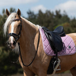 Equestroom Pink Mist Browband - Equestroom - Equiluxe Tack