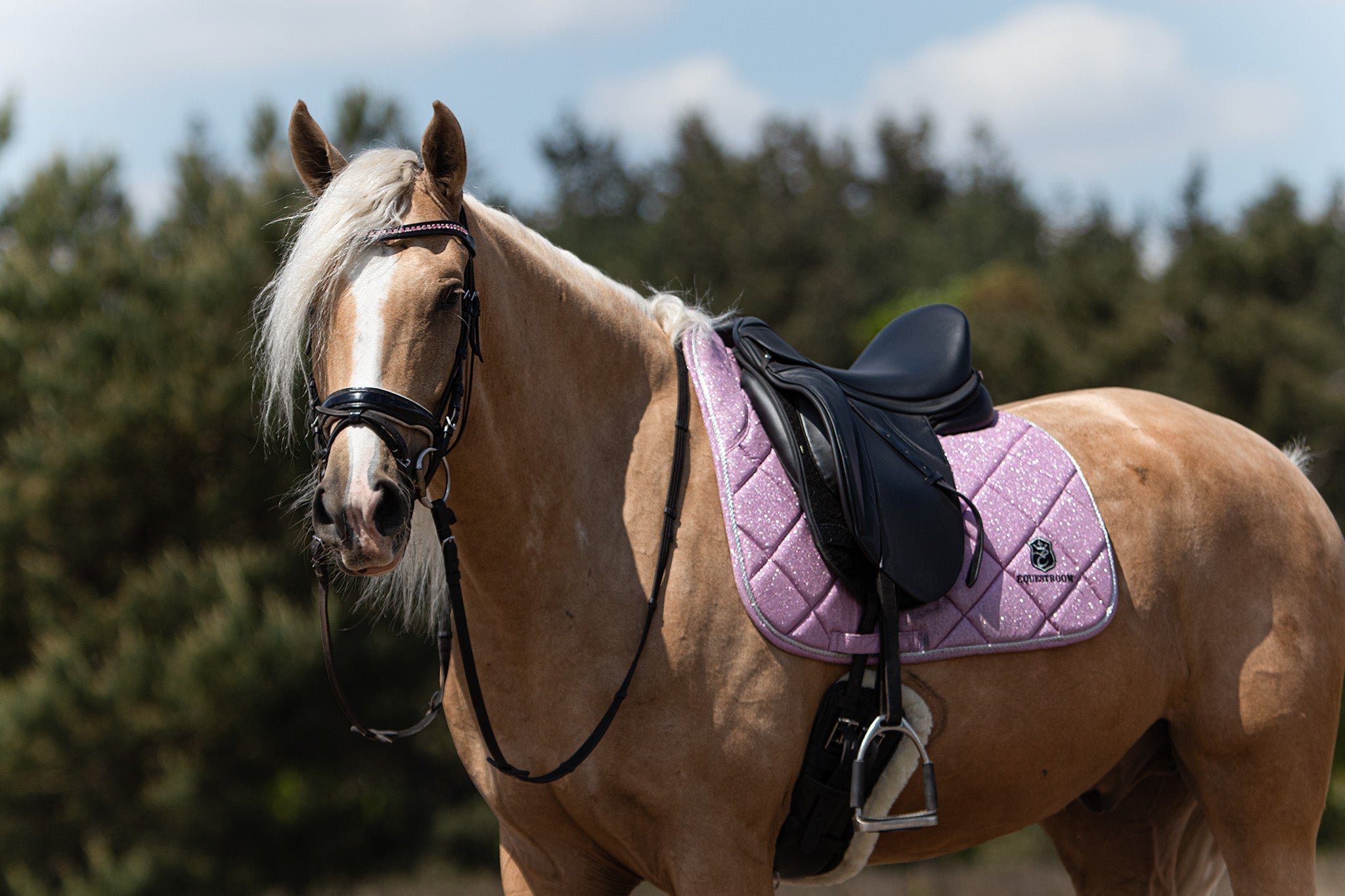 Equestroom Pink Mist Browband - Equestroom - Equiluxe Tack