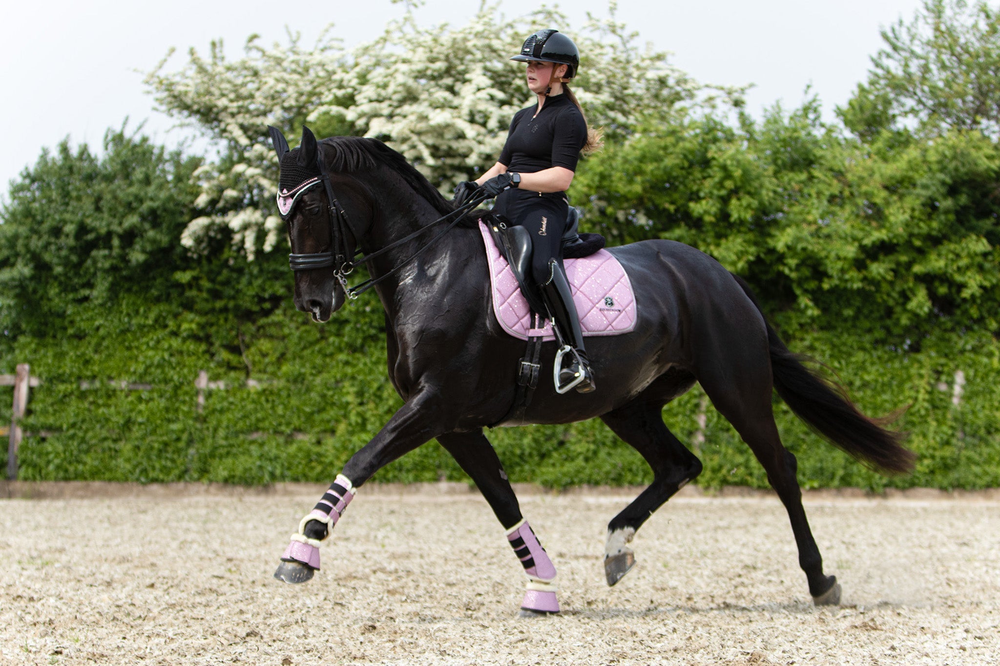 Equestroom Pink Mist Saddle Pad - Equestroom - Equiluxe Tack