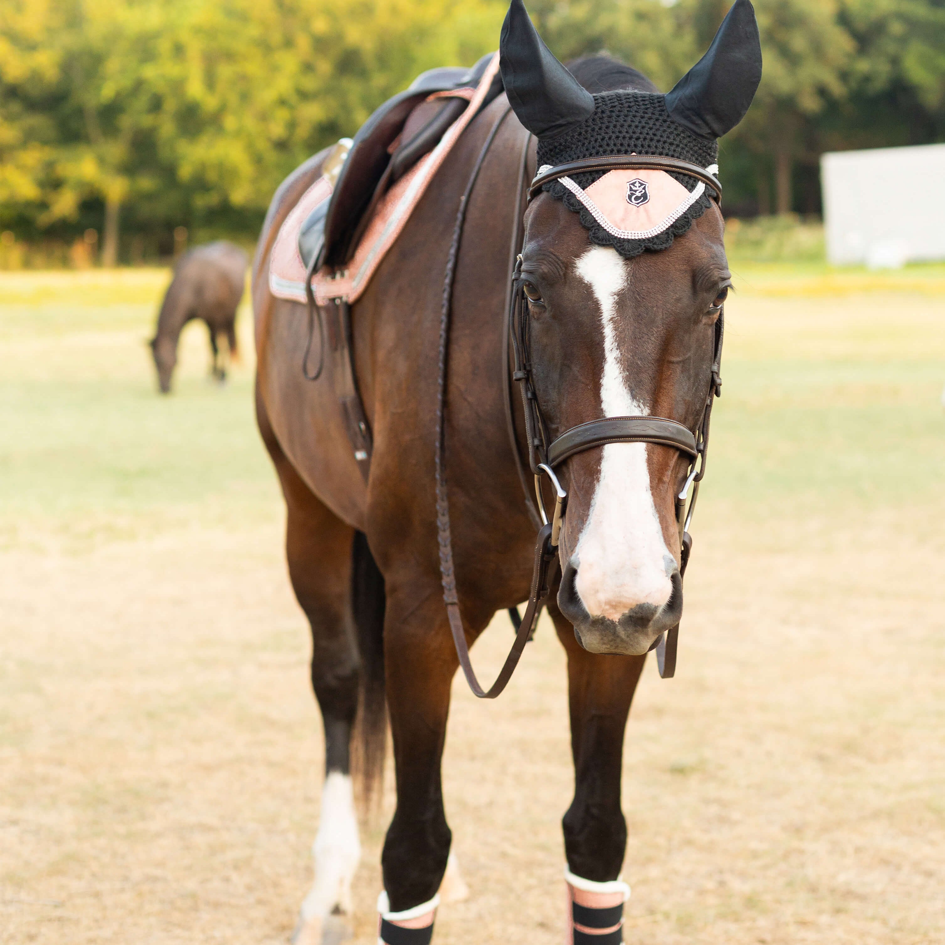 Equestroom Powder Pink Suede Fly Hat - Equestroom - Equiluxe Tack