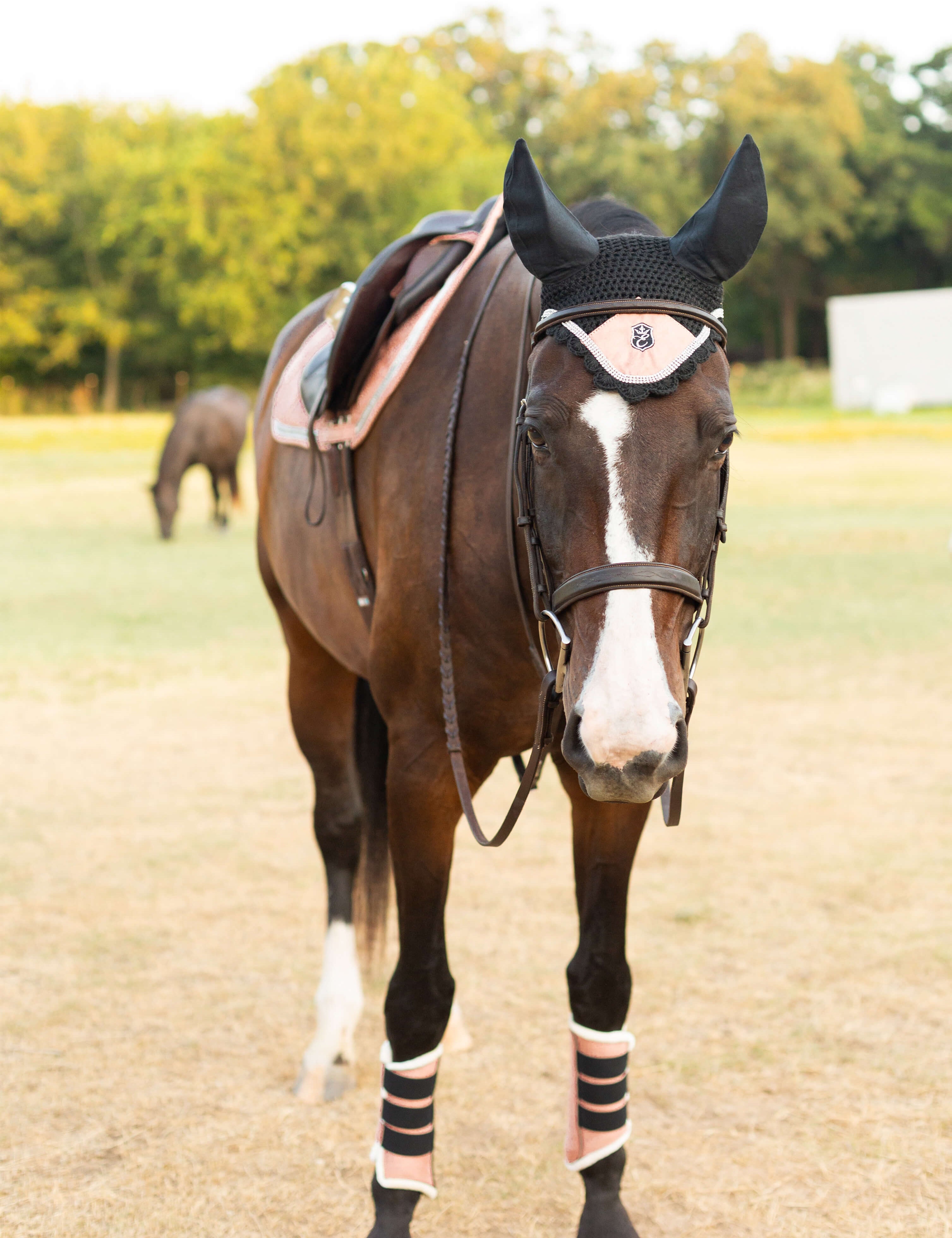 Equestroom Powder Pink Suede Fly Hat - Equestroom - Equiluxe Tack