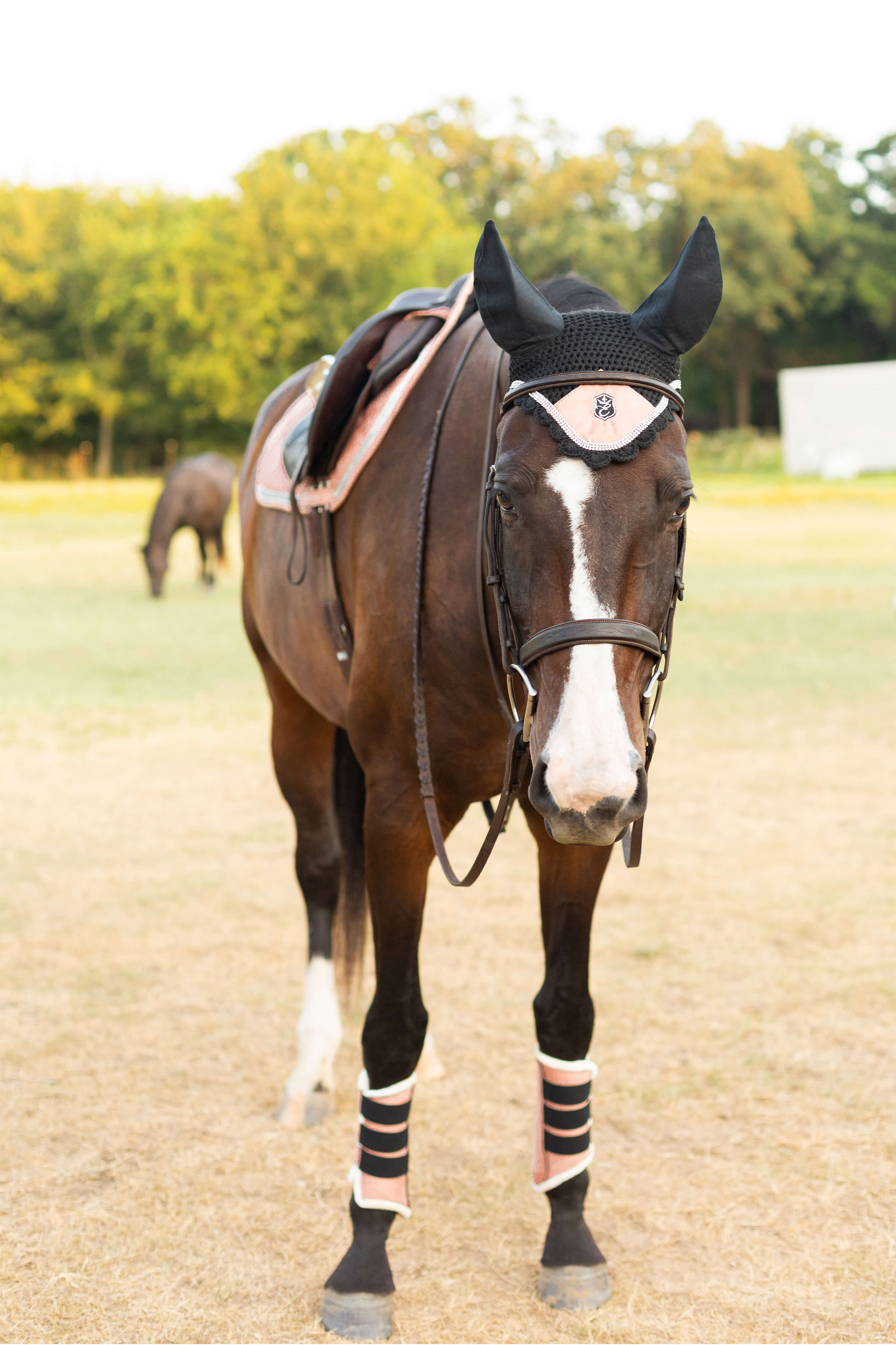 Equestroom Powder Pink Suede Saddle Pad - Equestroom - Equiluxe Tack