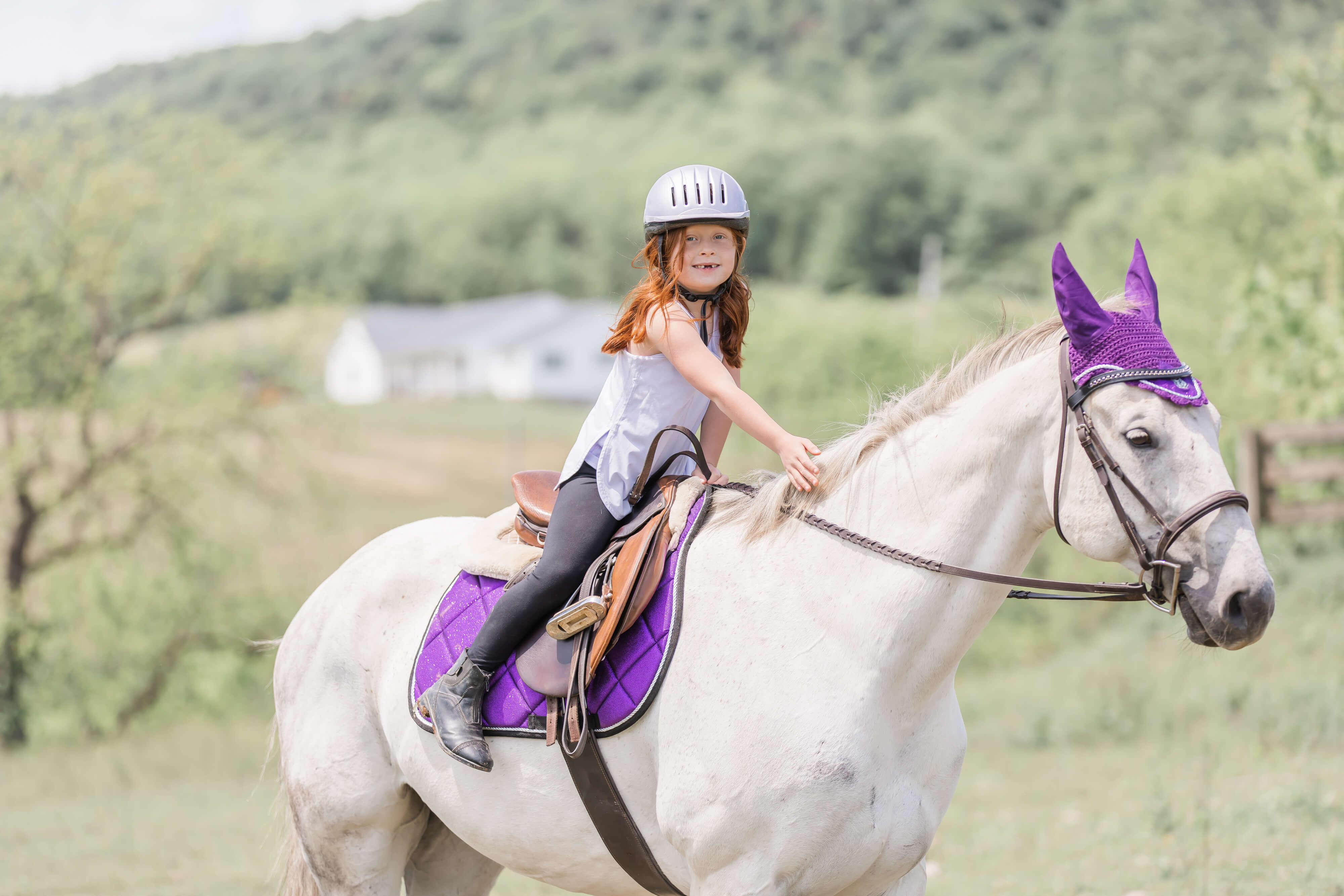 Equestroom Purple Amethyst Saddle Pad - Equestroom - Equiluxe Tack