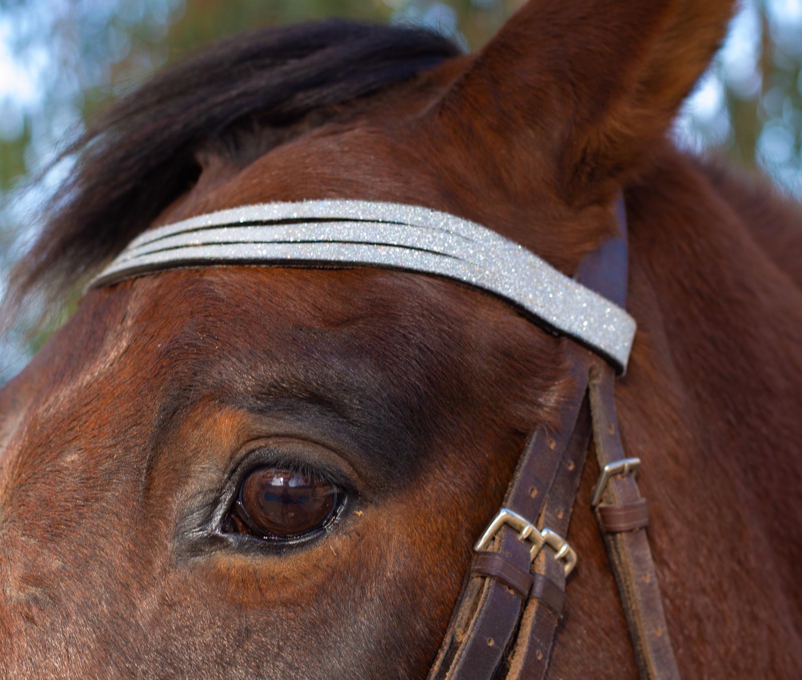 Equestroom Royal Silver Browband - Equestroom - Equiluxe Tack