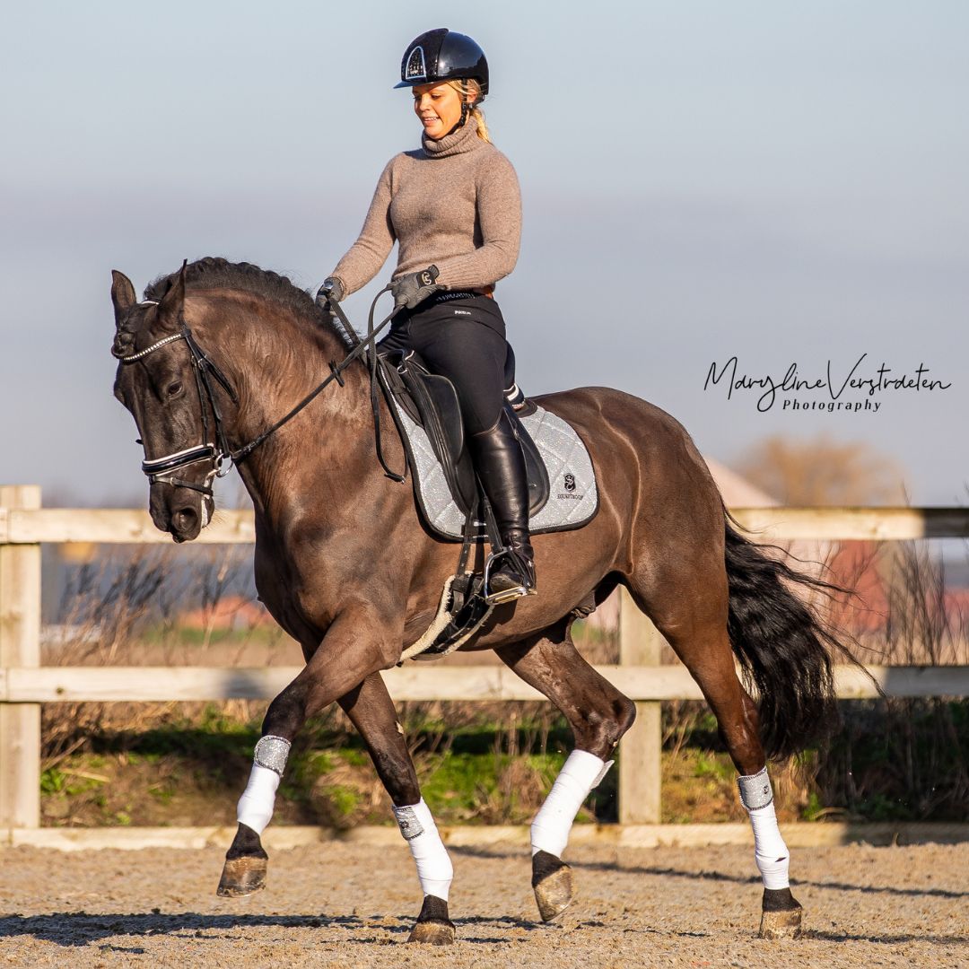 Equestroom Royal Silver Polo Wraps - Equestroom - Equiluxe Tack