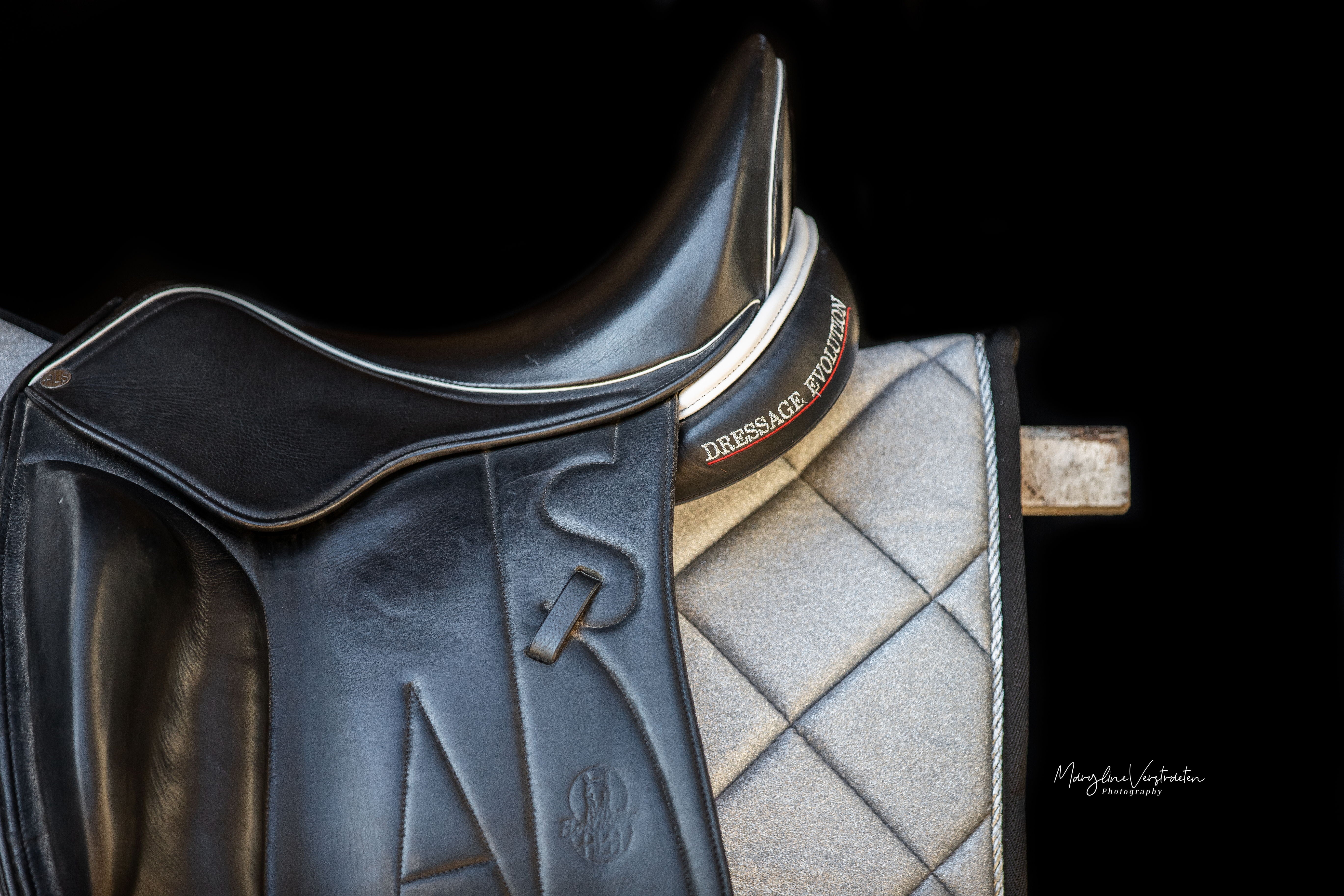 Equestroom Royal Silver Saddle Pad Set - Equestroom - Equiluxe Tack