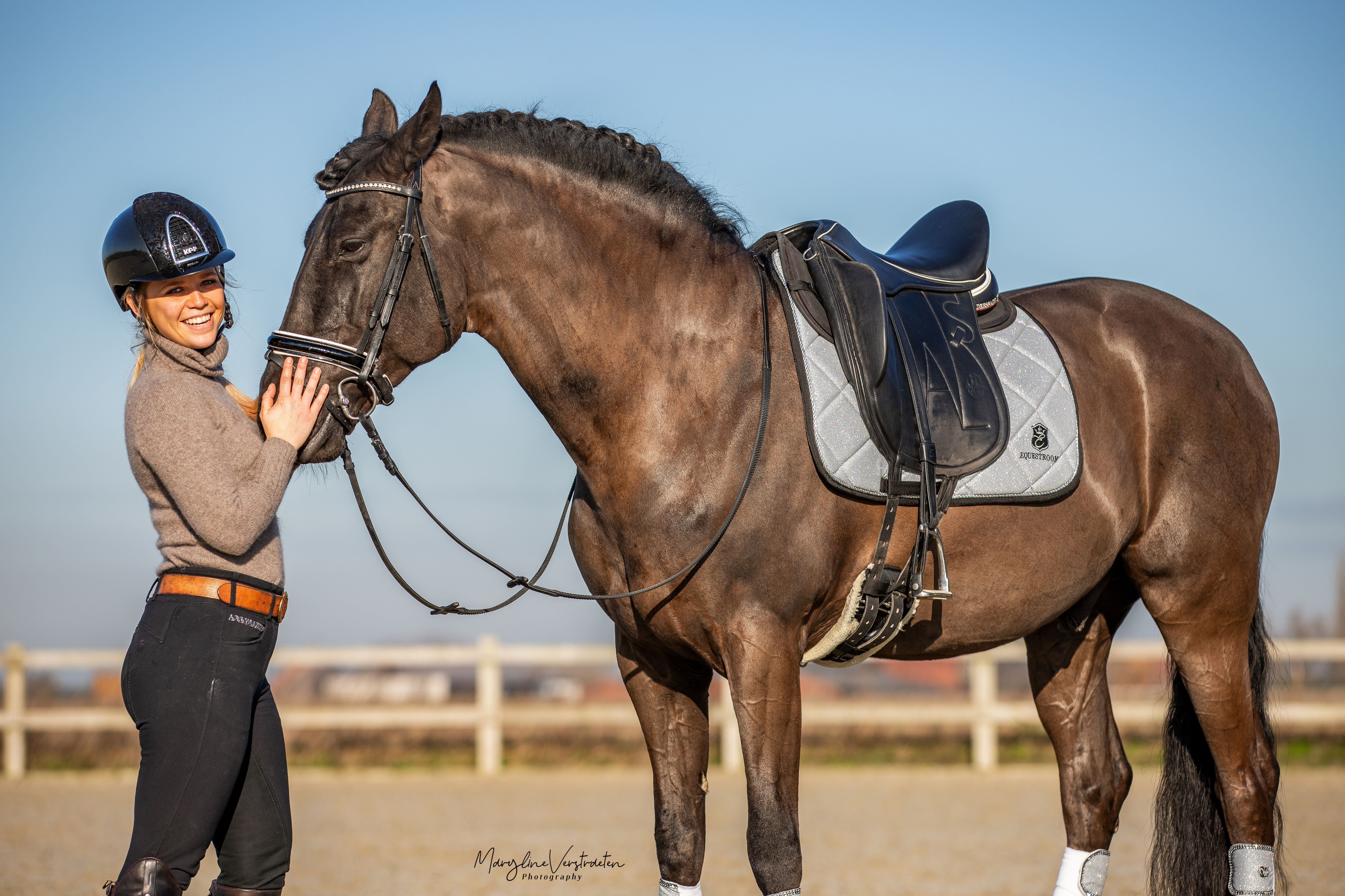 Equestroom Royal Silver Saddle Pad Set - Equestroom - Equiluxe Tack