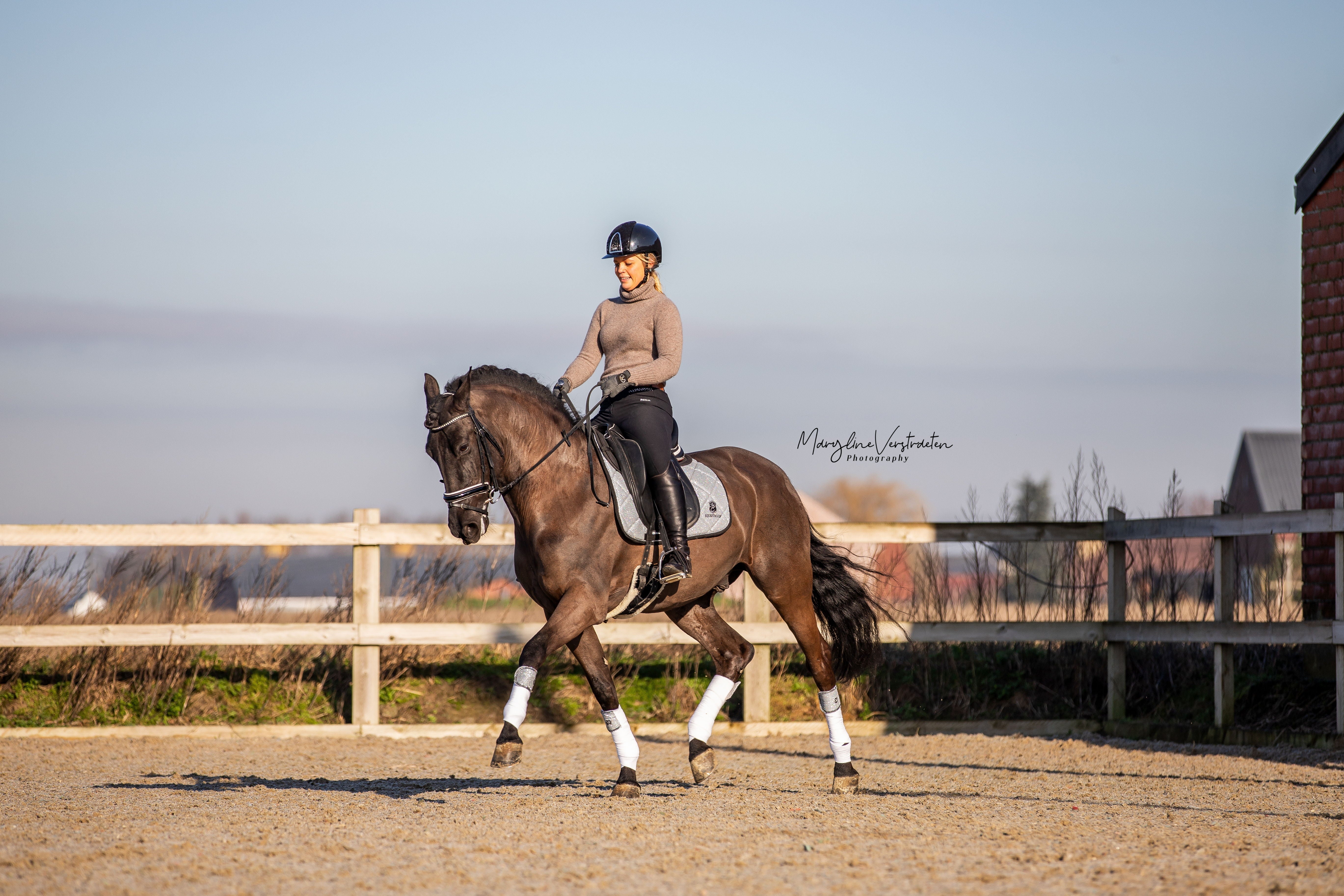 Equestroom Royal Silver Saddle Pad Set - Equestroom - Equiluxe Tack