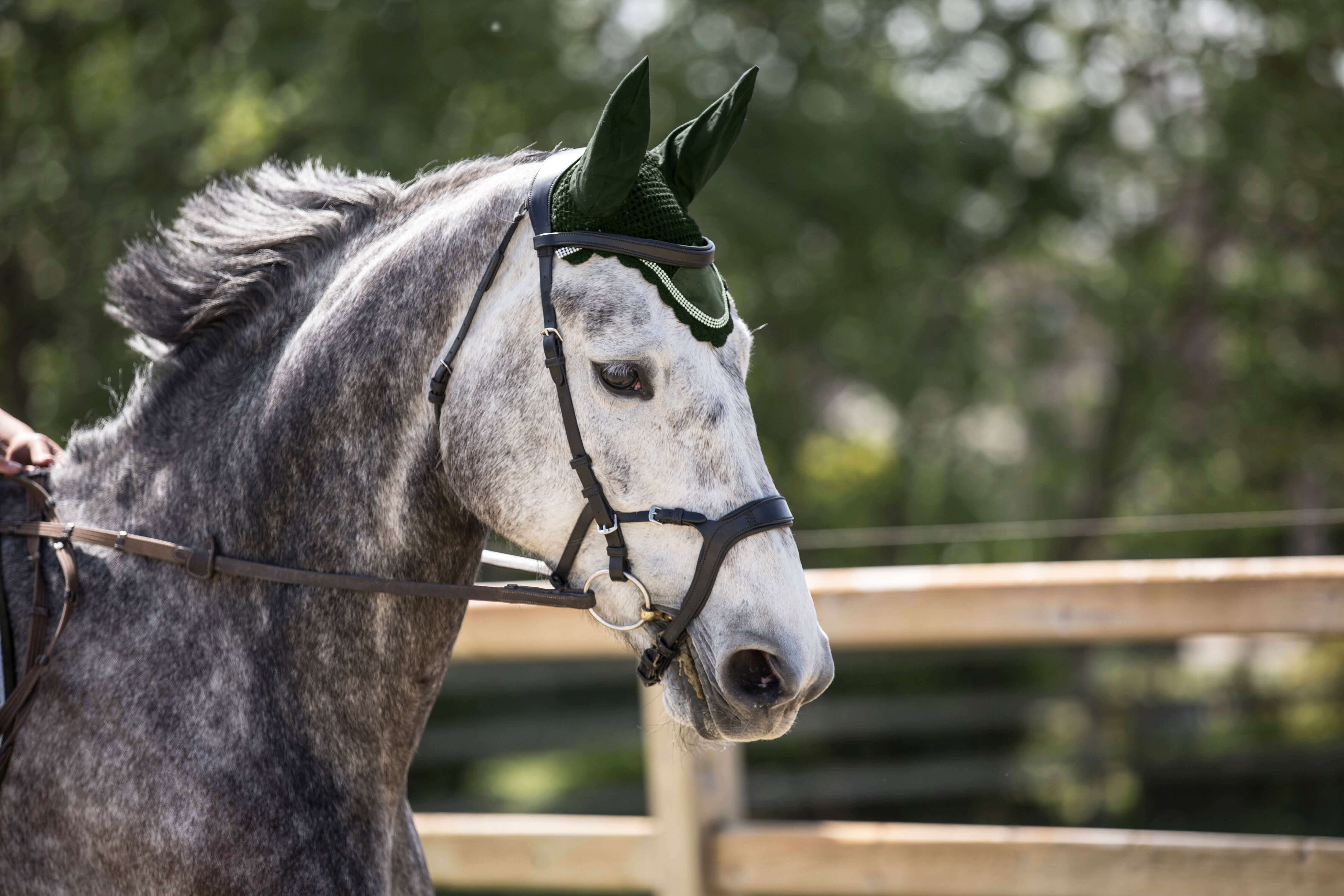 Equestroom Sage Green Fly Hat - Equestroom - Equiluxe Tack