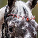 Equestroom Scarlet Red Browband - Equestroom - Equiluxe Tack