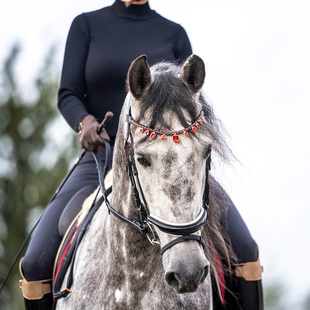 Equestroom Scarlet Red Browband - Equestroom - Equiluxe Tack