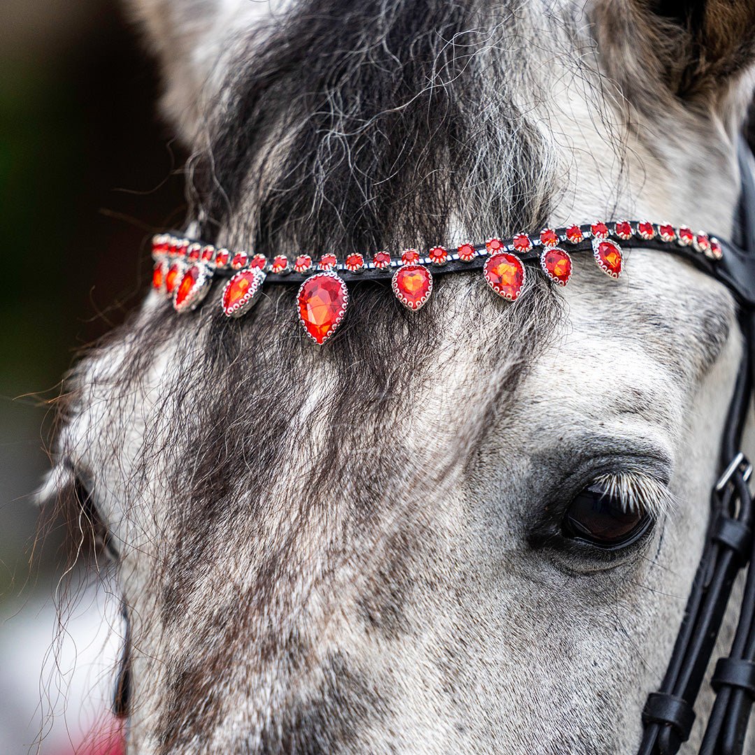 Equestroom Scarlet Red Browband - Equestroom - Equiluxe Tack