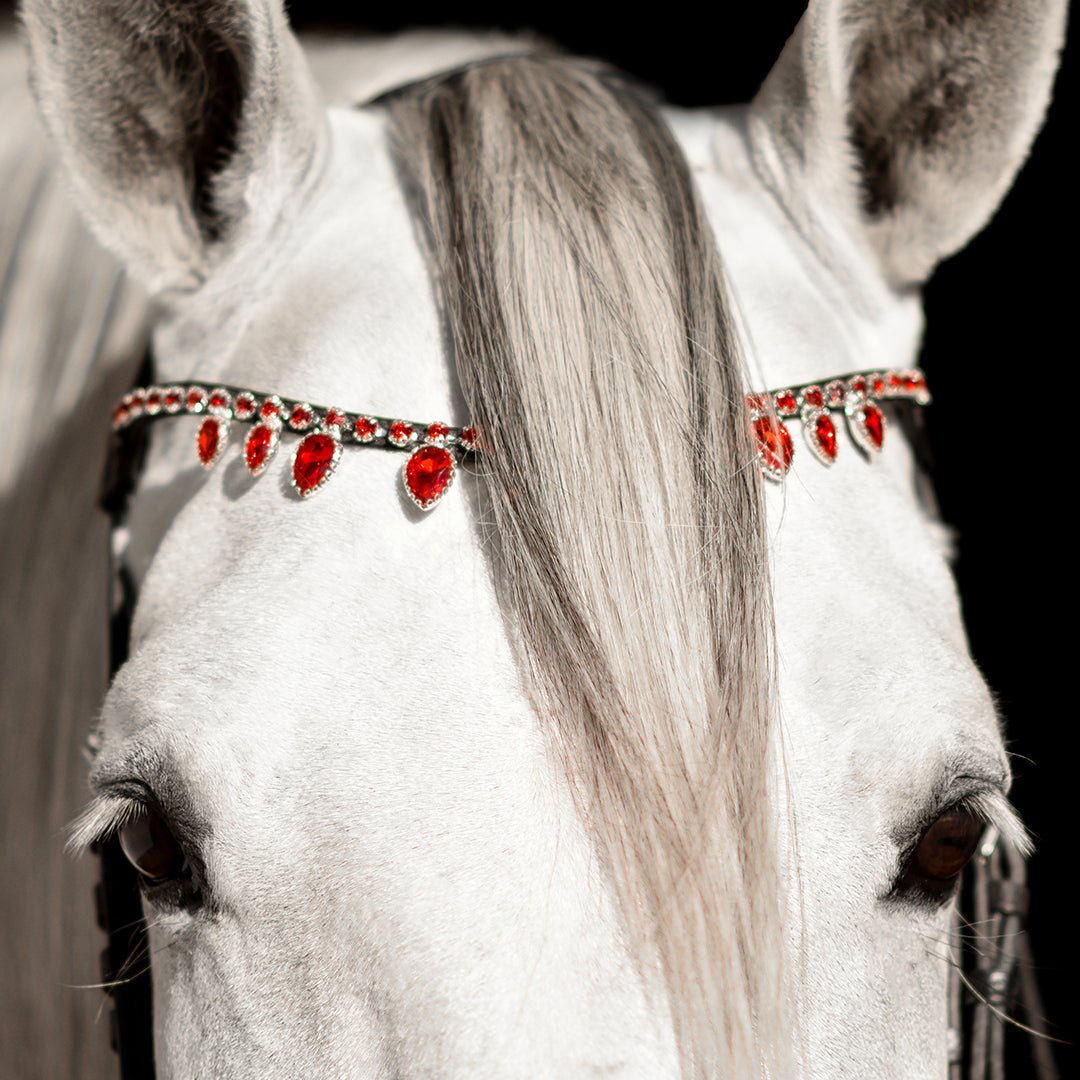 Equestroom Scarlet Red Browband - Equestroom - Equiluxe Tack