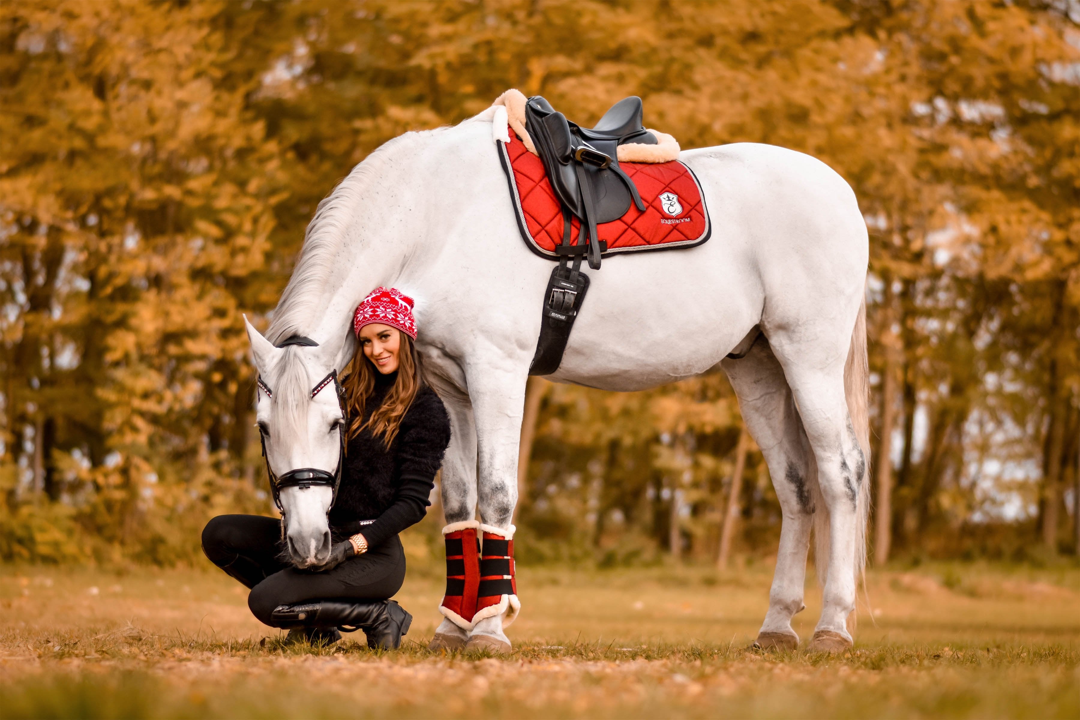 Equestroom Scarlet Red Saddle Pad - Equestroom - Equiluxe Tack