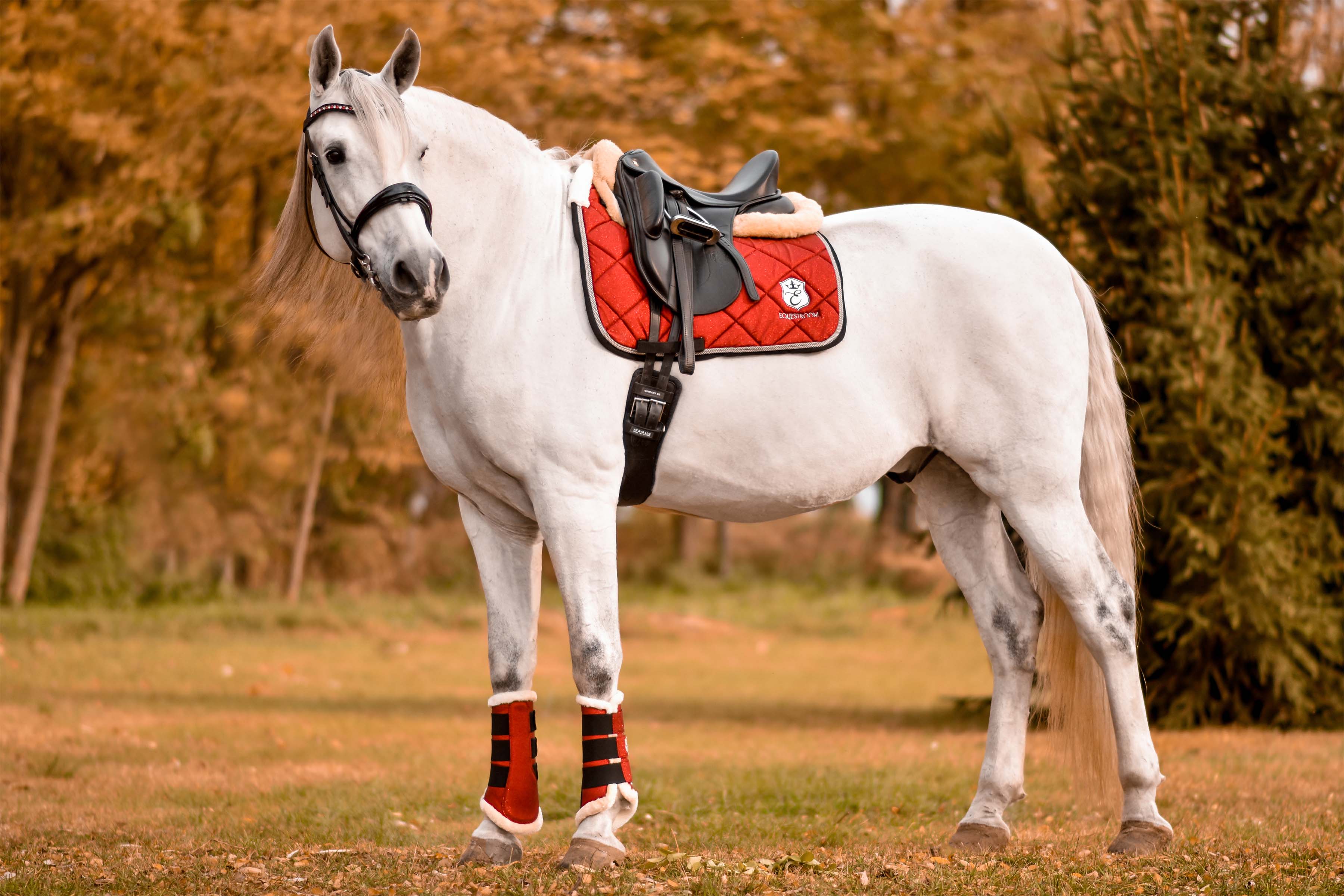 Equestroom Scarlet Red Saddle Pad - Equestroom - Equiluxe Tack