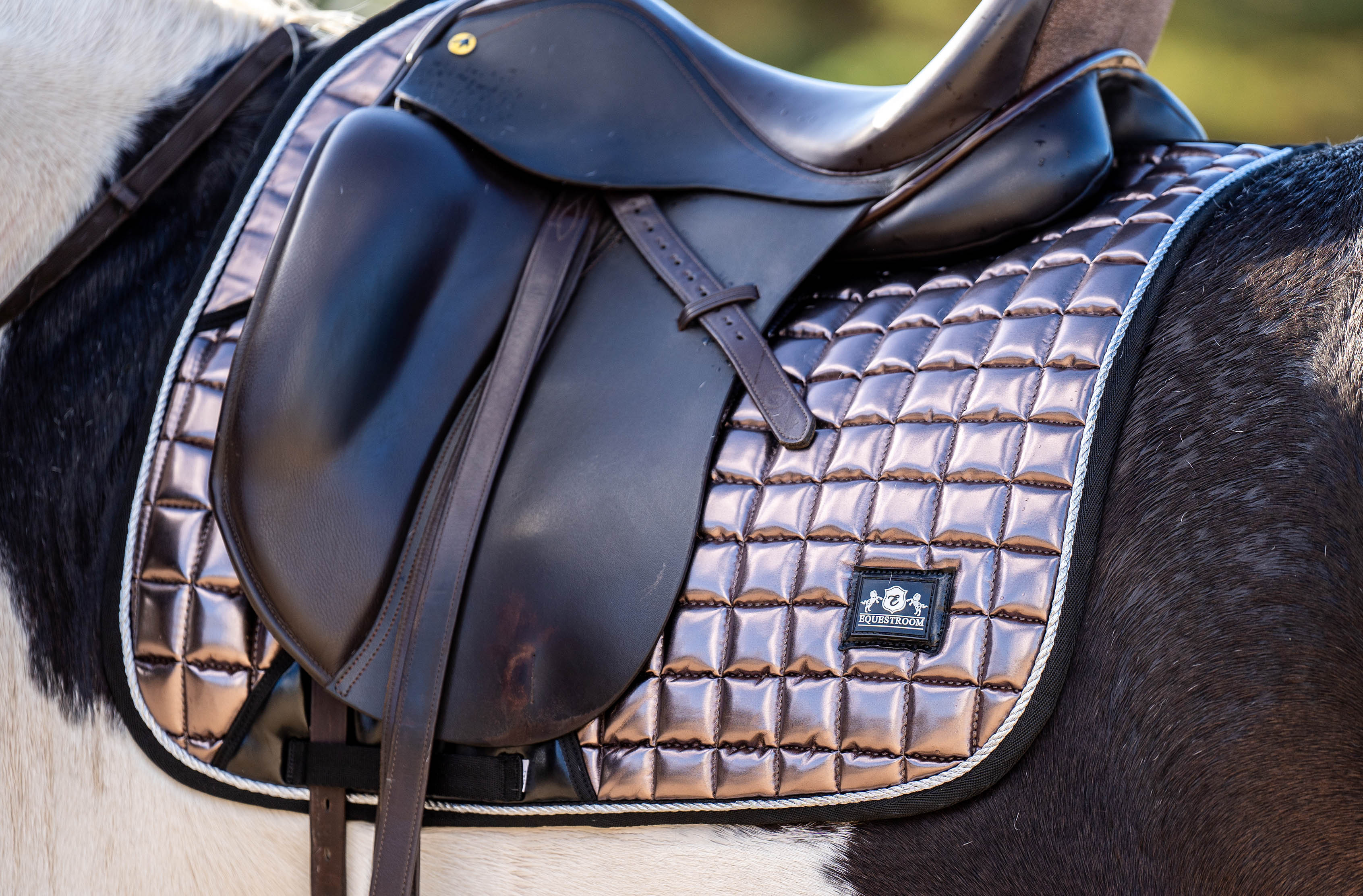 Equestroom Spaceship Grey Saddle Pad - Equestroom - Equiluxe Tack