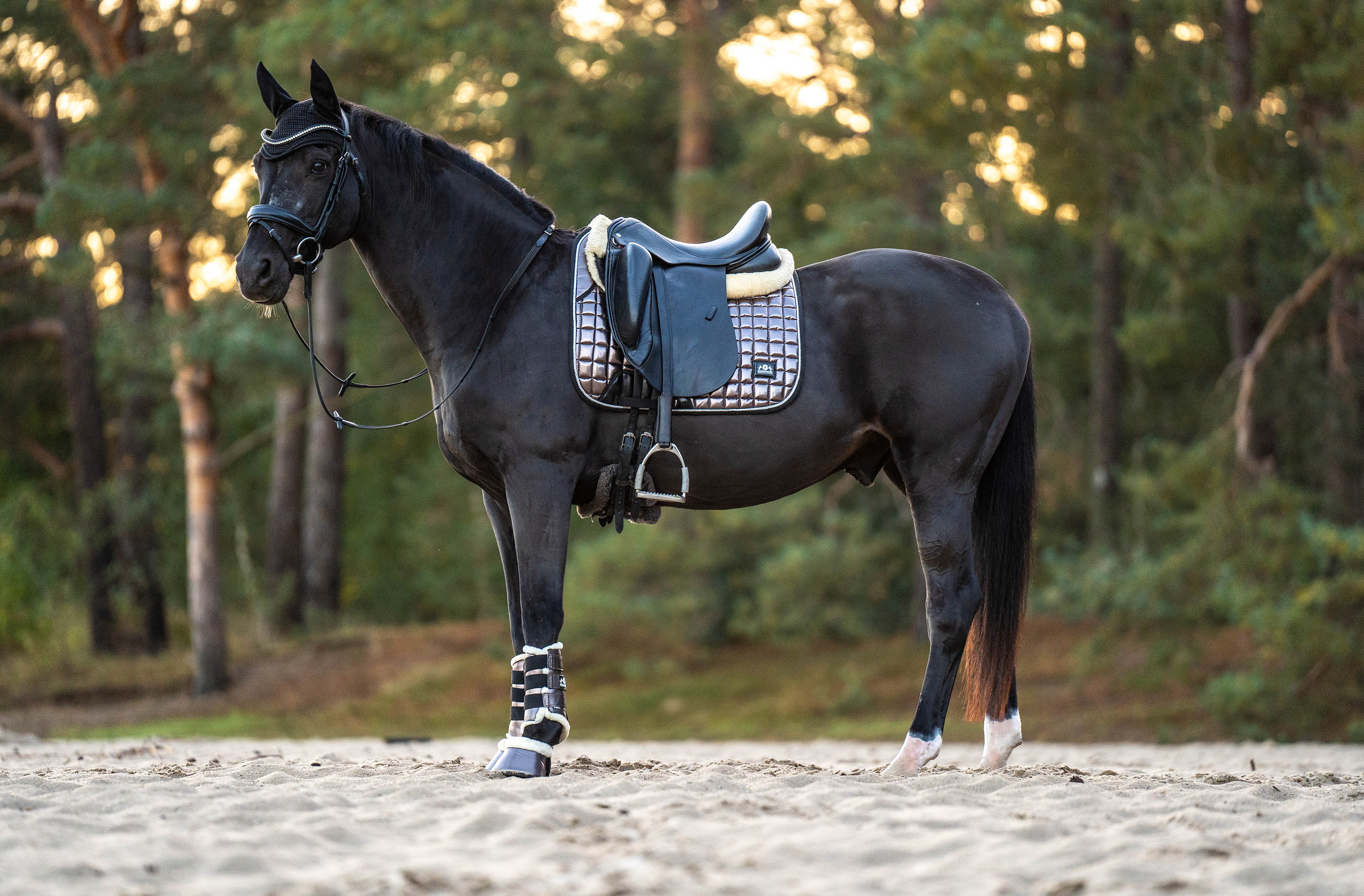 Equestroom Spaceship Grey Saddle Pad - Equestroom - Equiluxe Tack