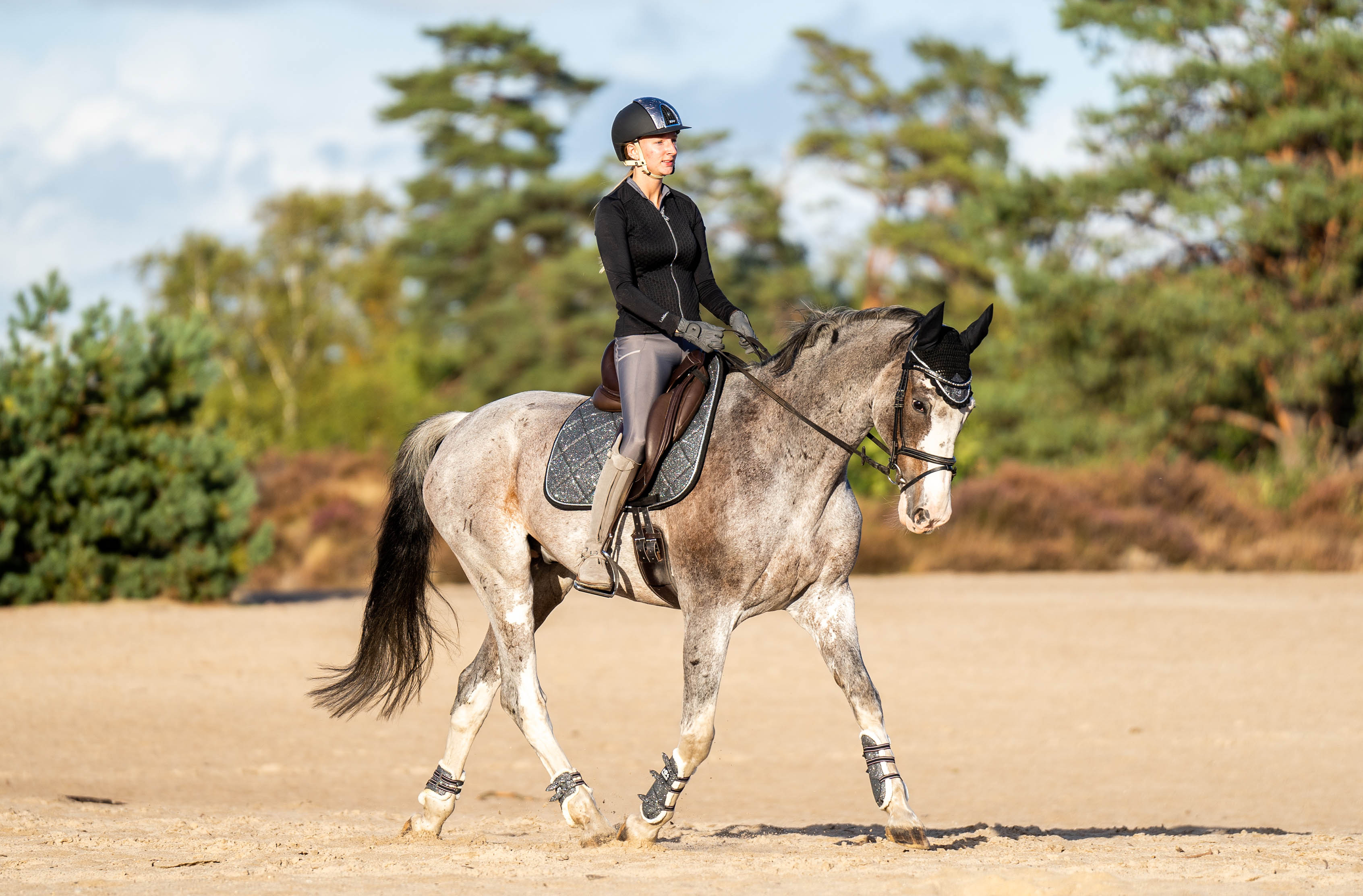 Equestroom Stardust Grey Browband - Equestroom - Equiluxe Tack