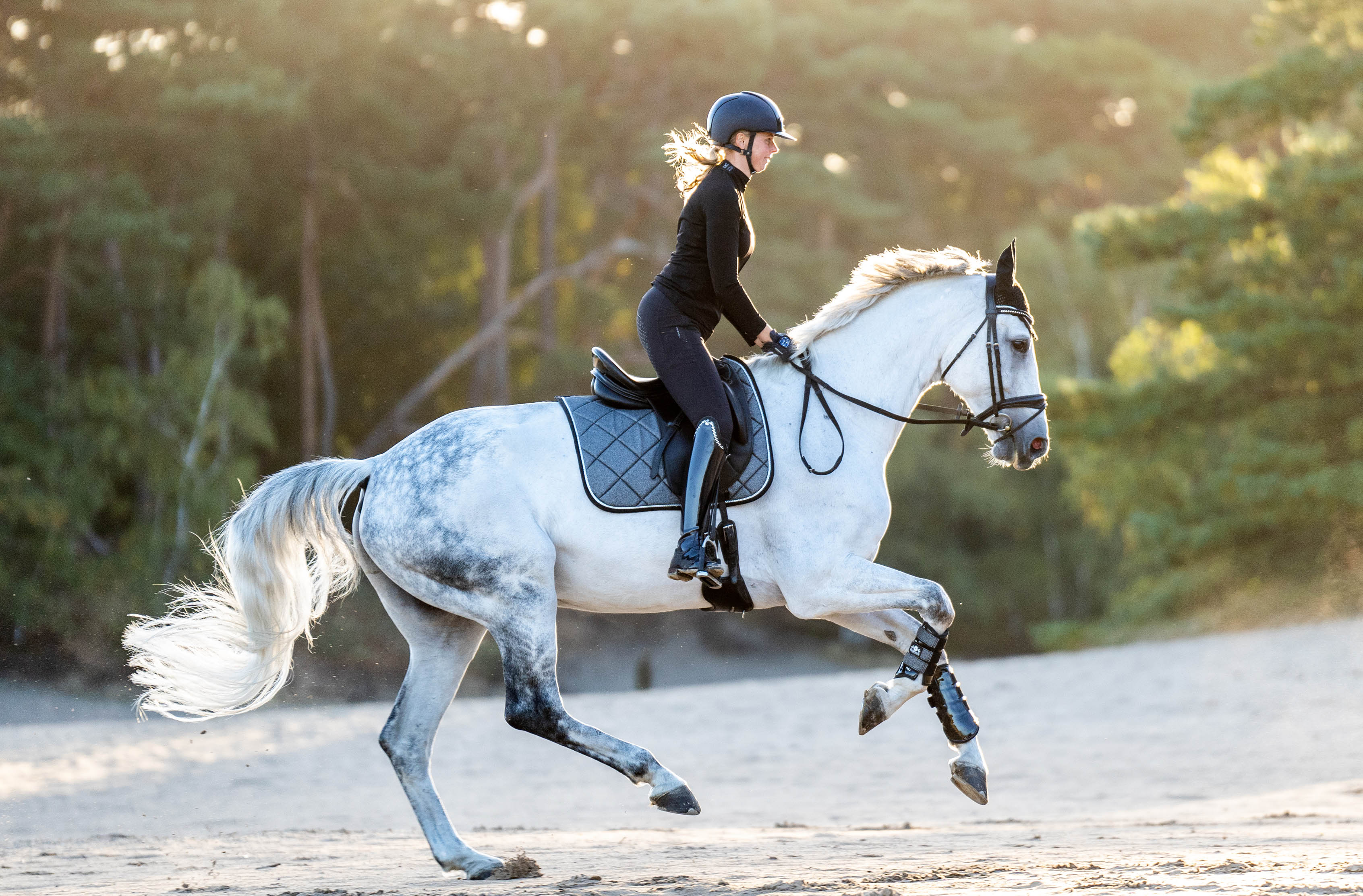 Equestroom Stardust Grey Brushing Boots - Equestroom - Equiluxe Tack