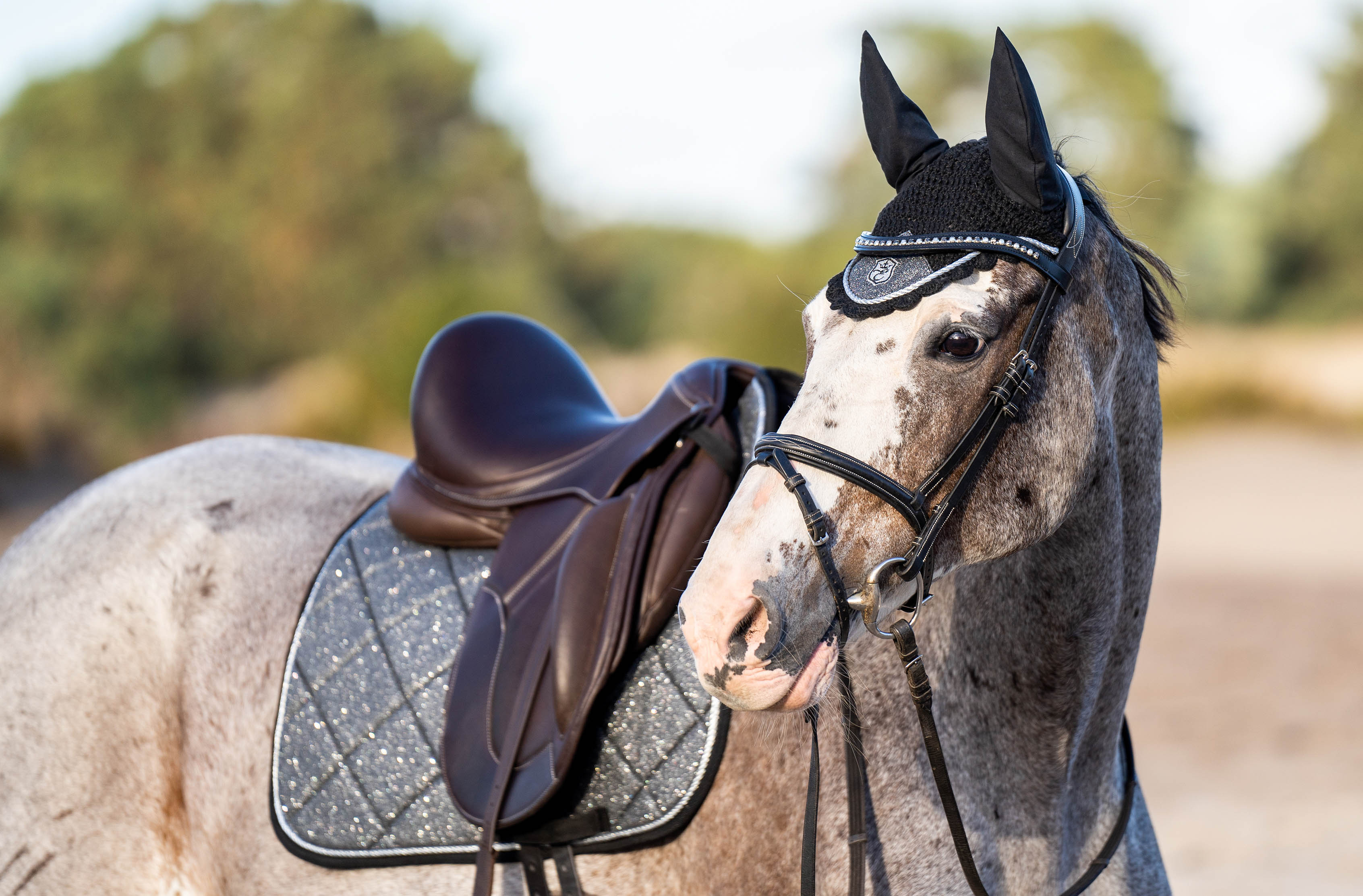 Equestroom Stardust Grey Fly Hat - Equestroom - Equiluxe Tack