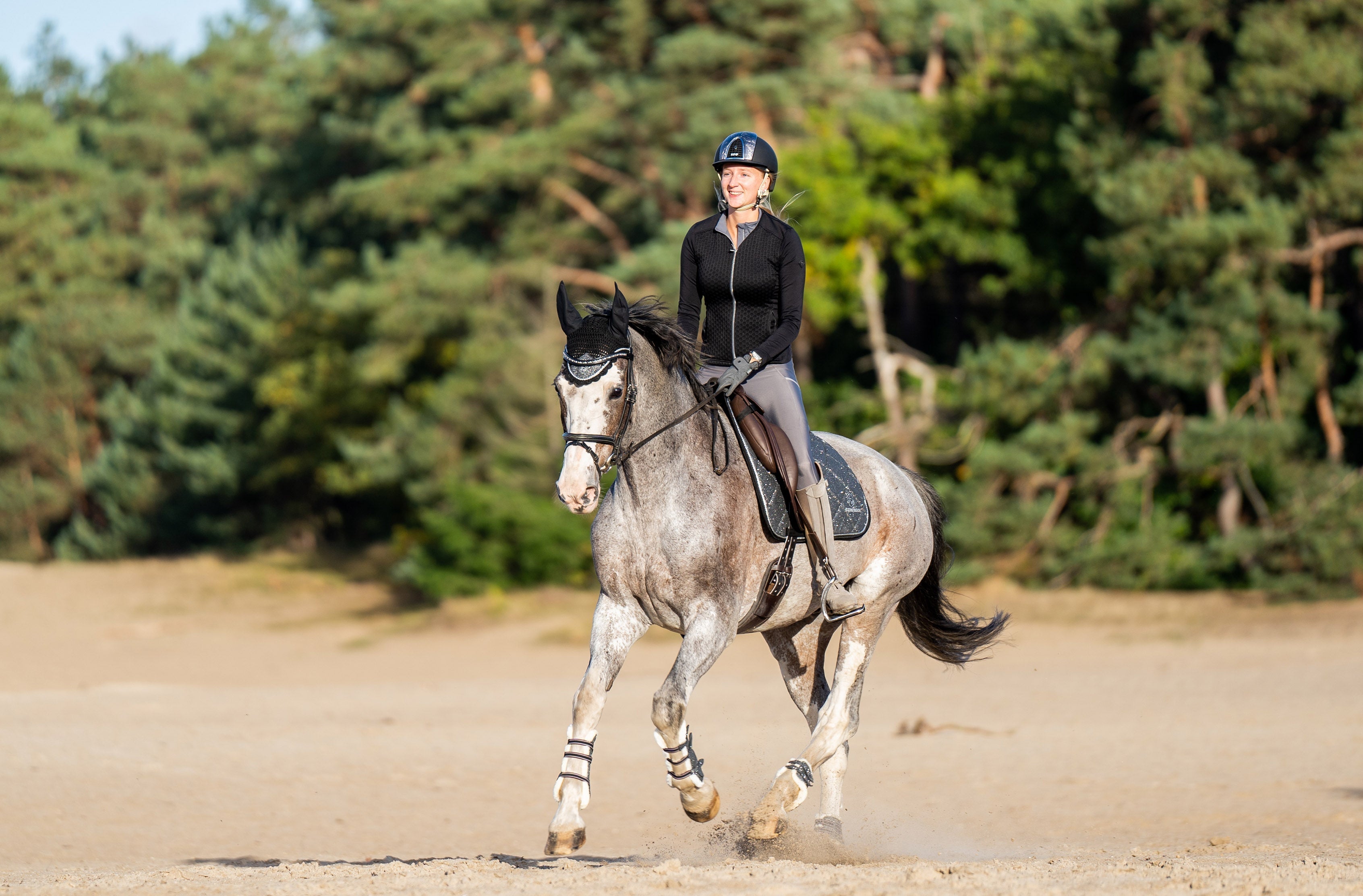 Equestroom Stardust Grey Saddle Pad - Equestroom - Equiluxe Tack