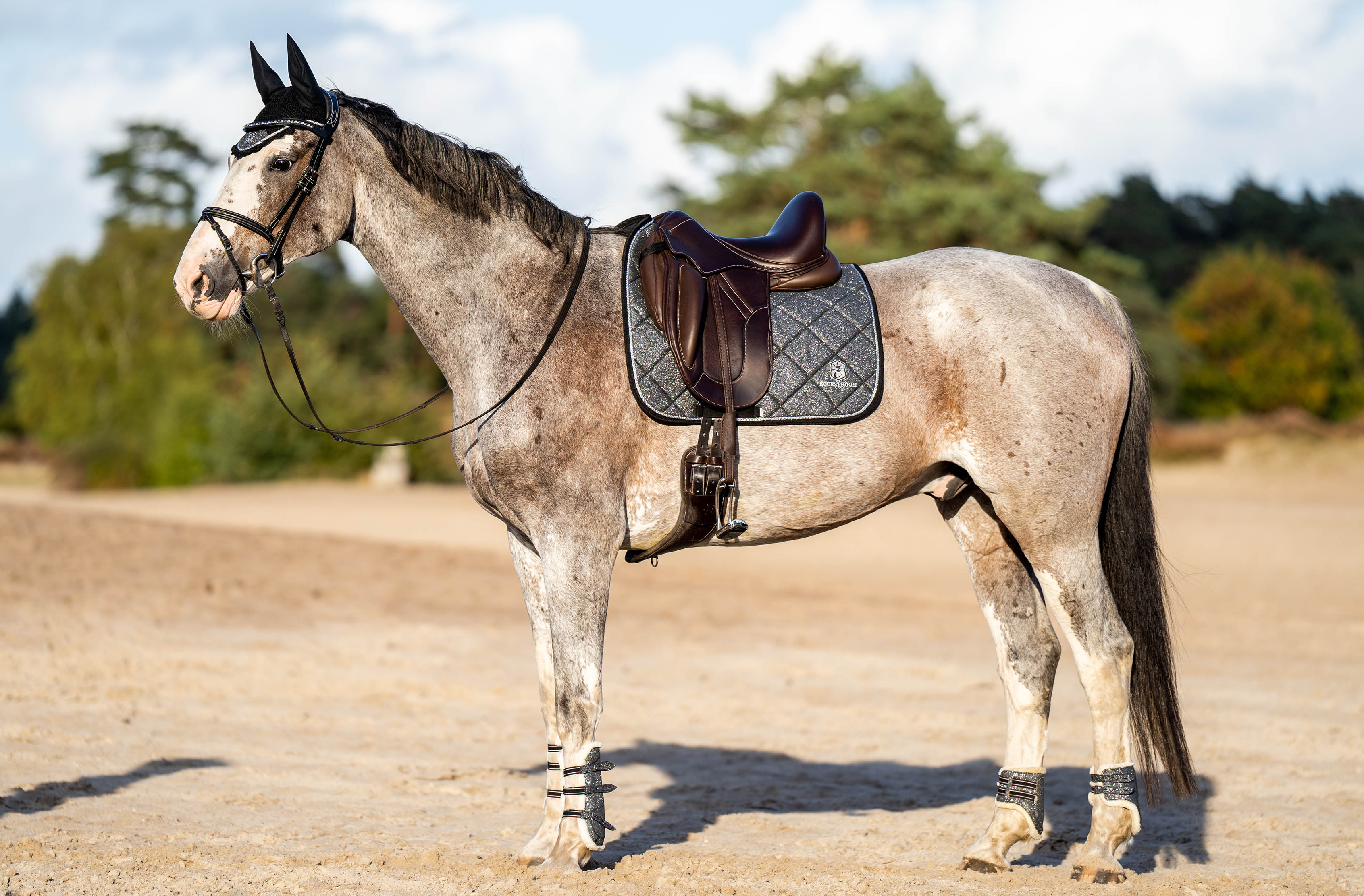 Equestroom Stardust Grey Saddle Pad - Equestroom - Equiluxe Tack