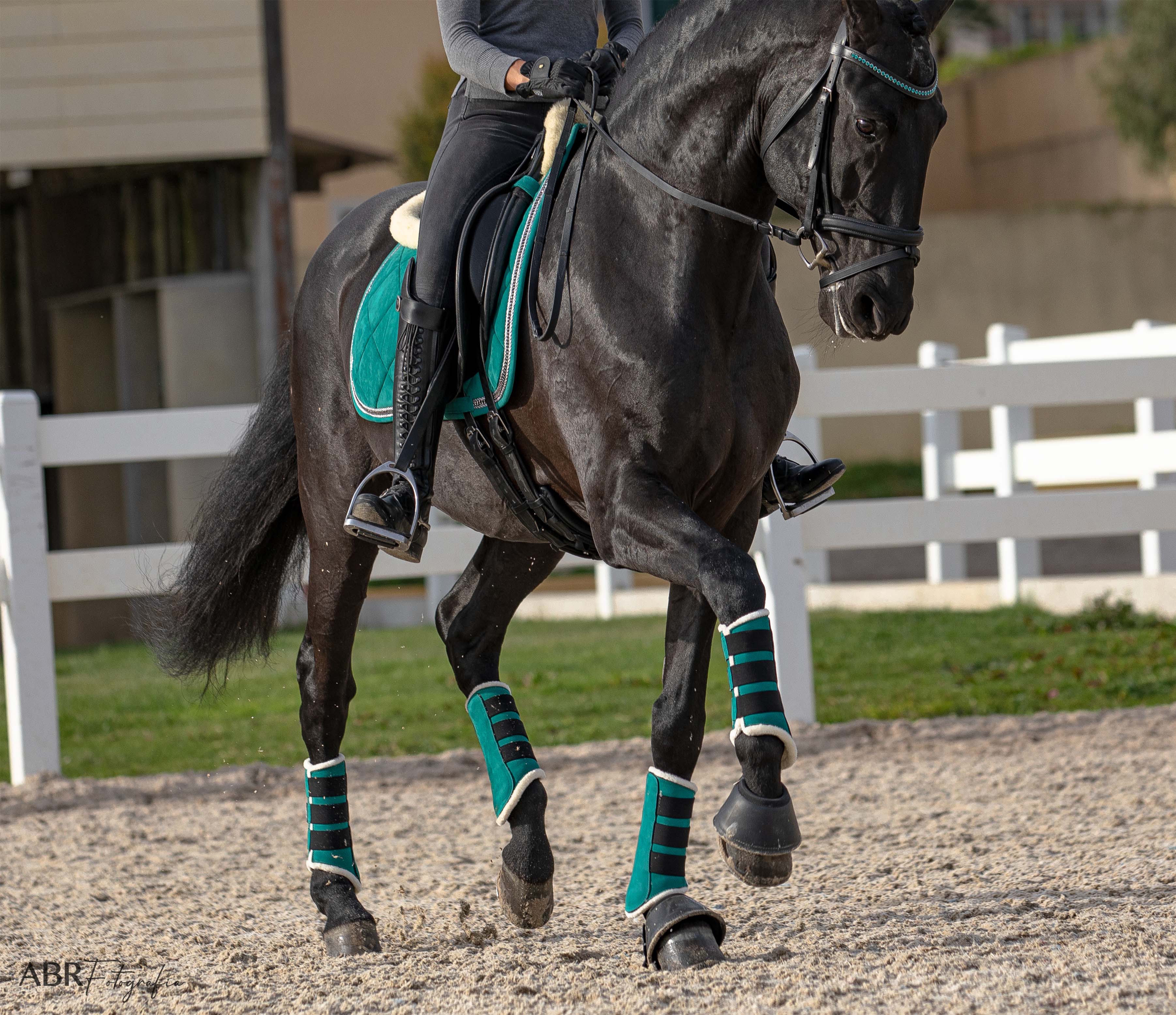 Equestroom Teal Brushing Boots - Equestroom - Equiluxe Tack