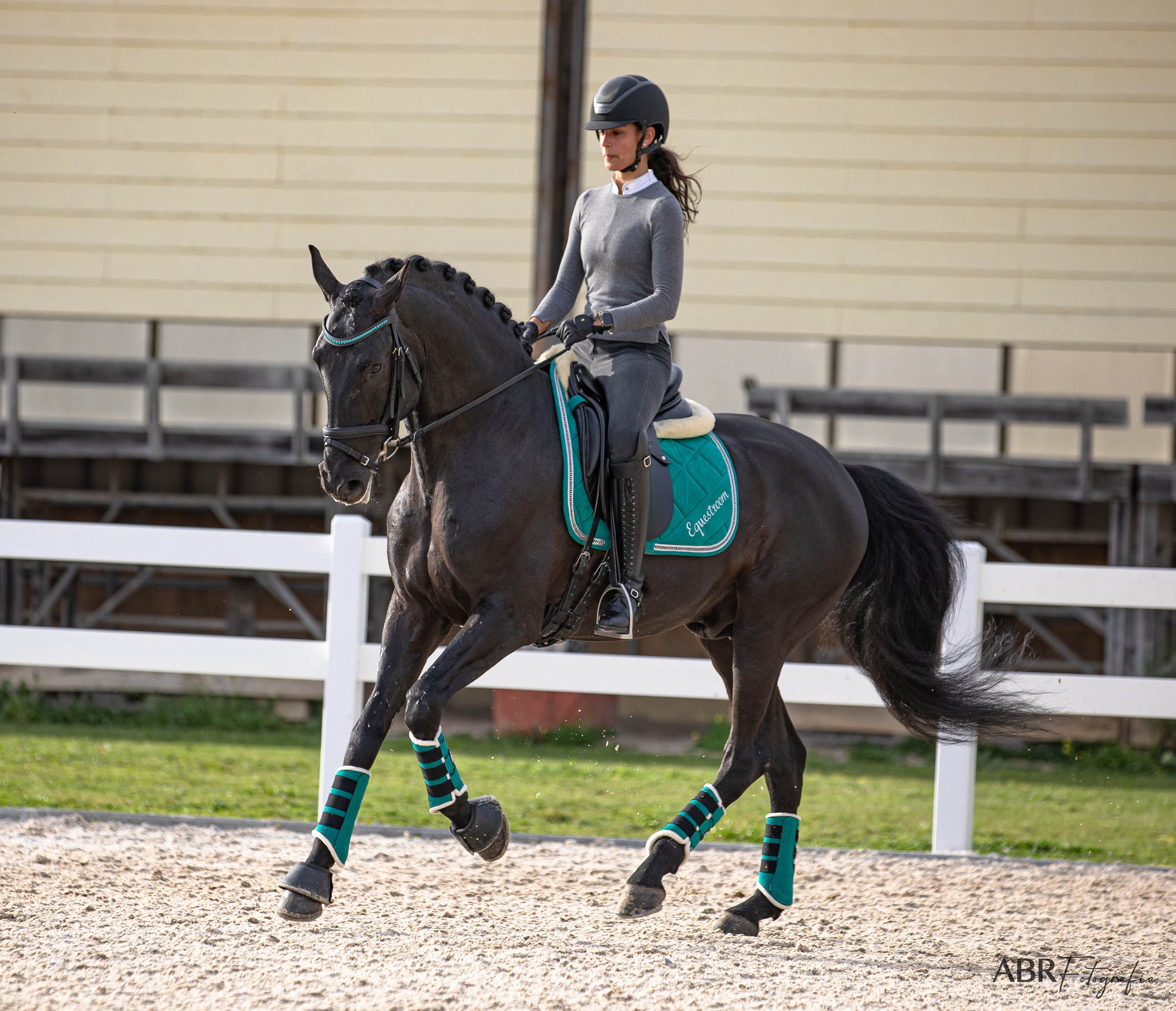 Equestroom Teal Brushing Boots - Equestroom - Equiluxe Tack