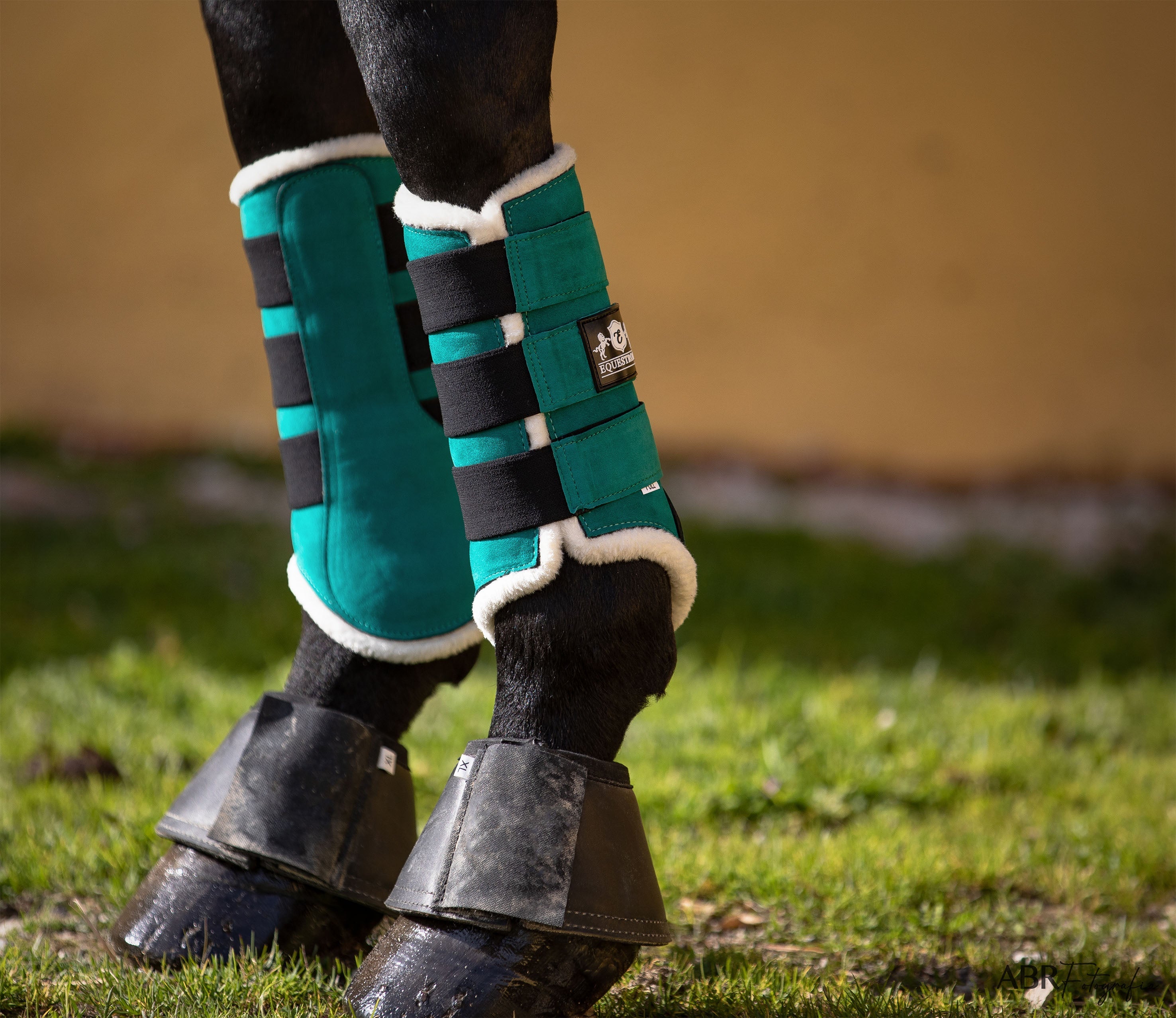 Equestroom Teal Brushing Boots - Equestroom - Equiluxe Tack