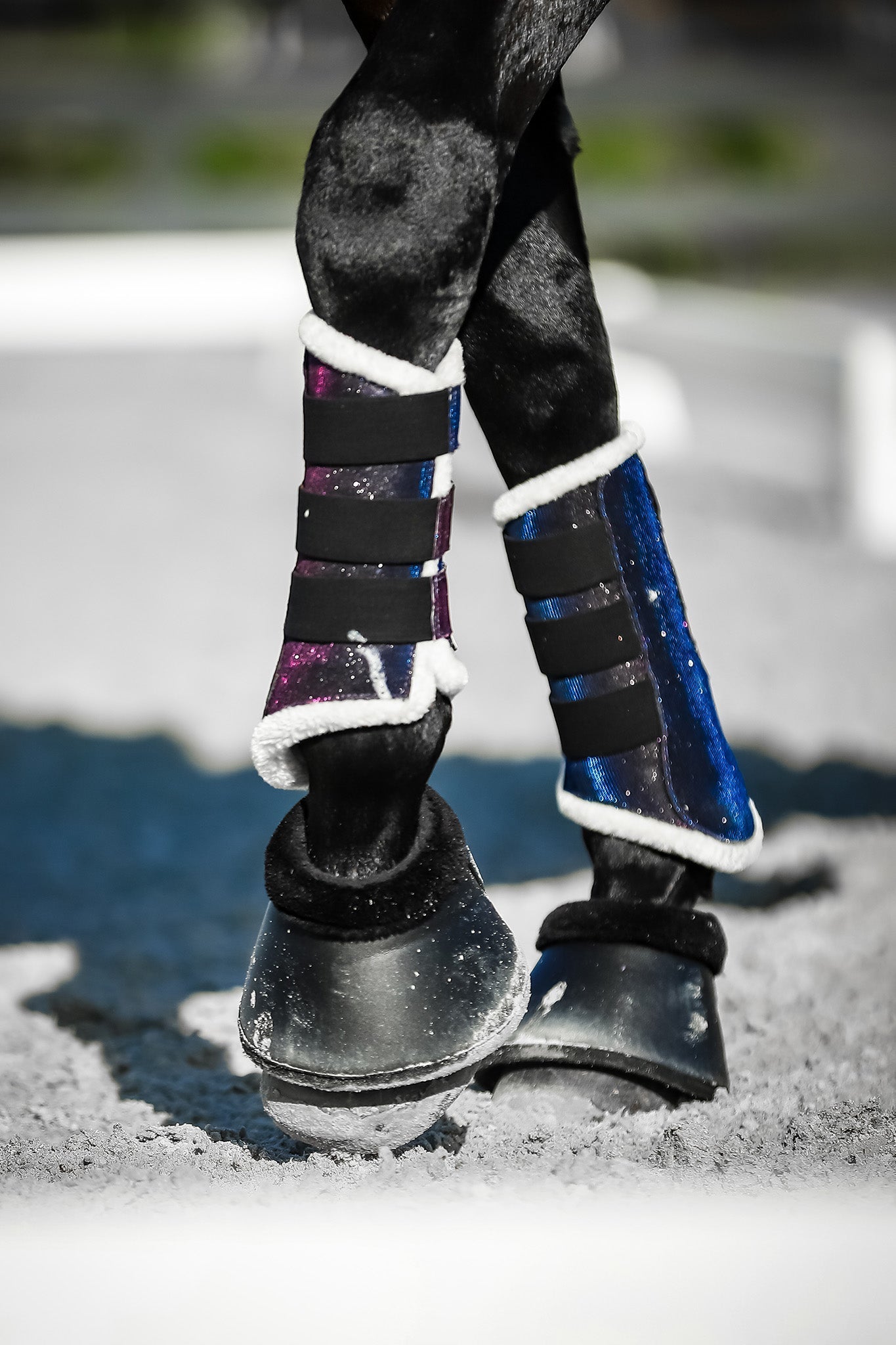 Equestroom Ultraviolet Brushing Boots - Equestroom - Equiluxe Tack