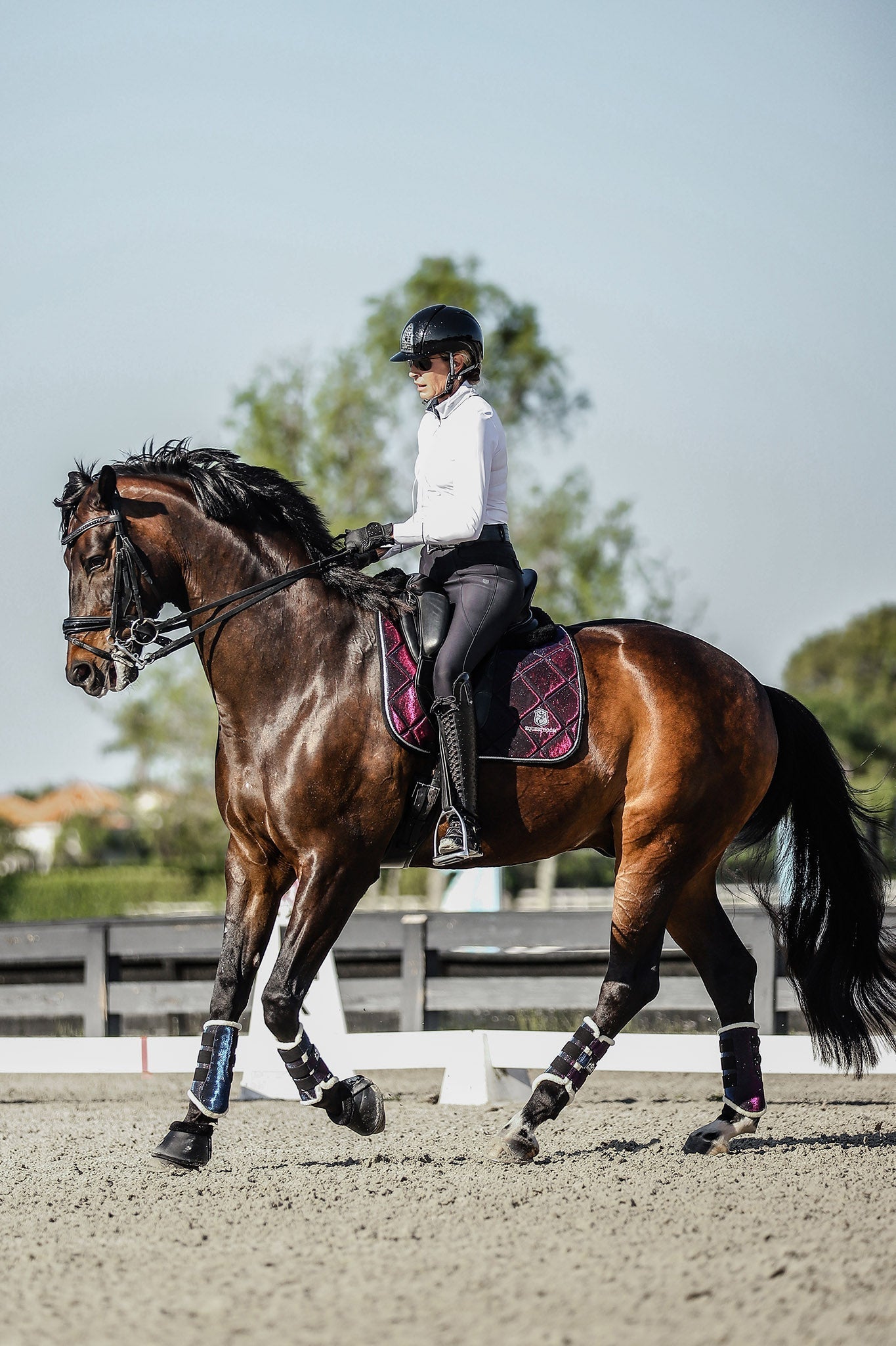 Equestroom Ultraviolet Saddle Pad - Equestroom - Equiluxe Tack