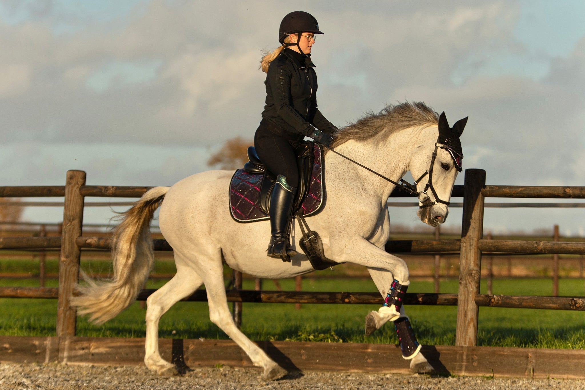 Equestroom Ultraviolet Saddle Pad - Equestroom - Equiluxe Tack