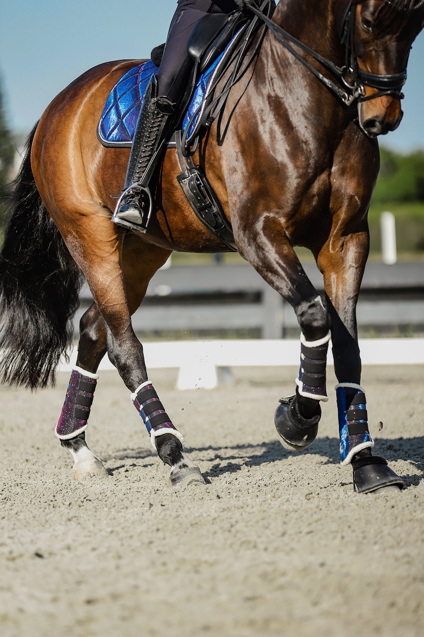 Equestroom Ultraviolet Saddle Pad Set - Equestroom - Equiluxe Tack