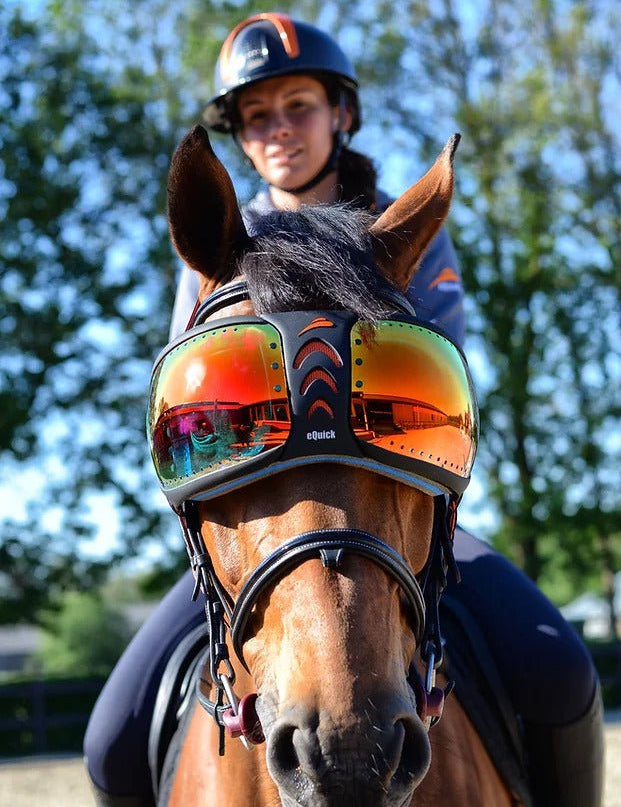eQuick eVysor - eQuick - Equiluxe Tack