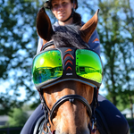 eQuick eVysor - eQuick - Equiluxe Tack