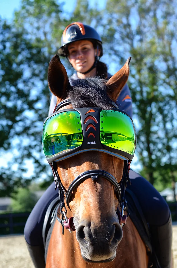 eQuick eVysor - eQuick - Equiluxe Tack