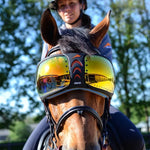 eQuick eVysor - eQuick - Equiluxe Tack