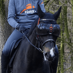 eQuick eVysor - eQuick - Equiluxe Tack