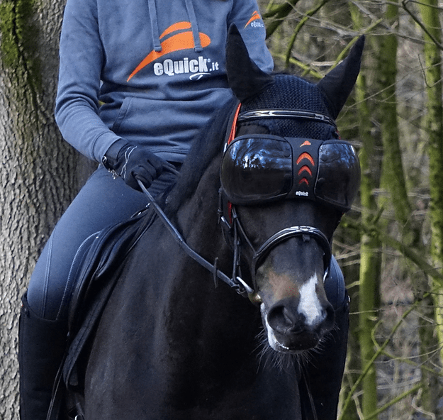 eQuick eVysor - eQuick - Equiluxe Tack