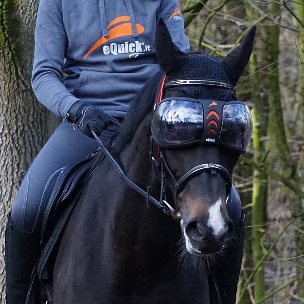 eQuick eVysor - eQuick - Equiluxe Tack