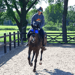 eQuick eVysor - eQuick - Equiluxe Tack