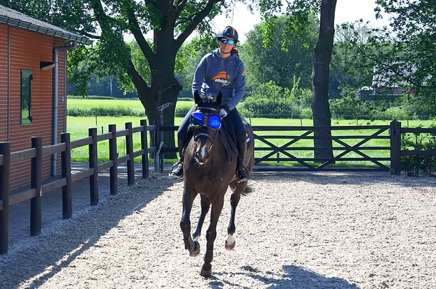 eQuick eVysor - eQuick - Equiluxe Tack