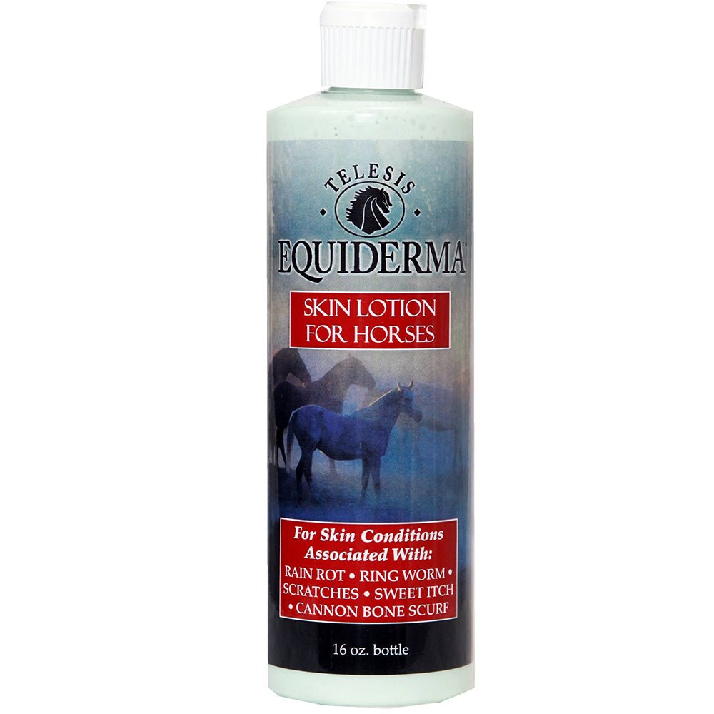 Equiderma Neem Shampoo 32 oz - Equiluxe Tack - Equiluxe Tack