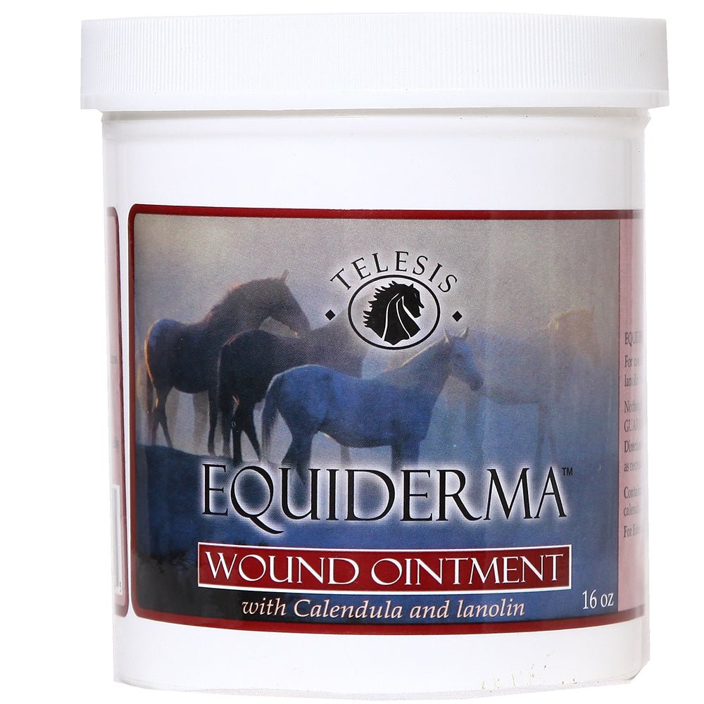 Equiderma Wound Ointment 16 oz - Equiluxe Tack - Equiluxe Tack