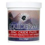 Equiderma Zinc Paste 16 oz - Equiluxe Tack - Equiluxe Tack